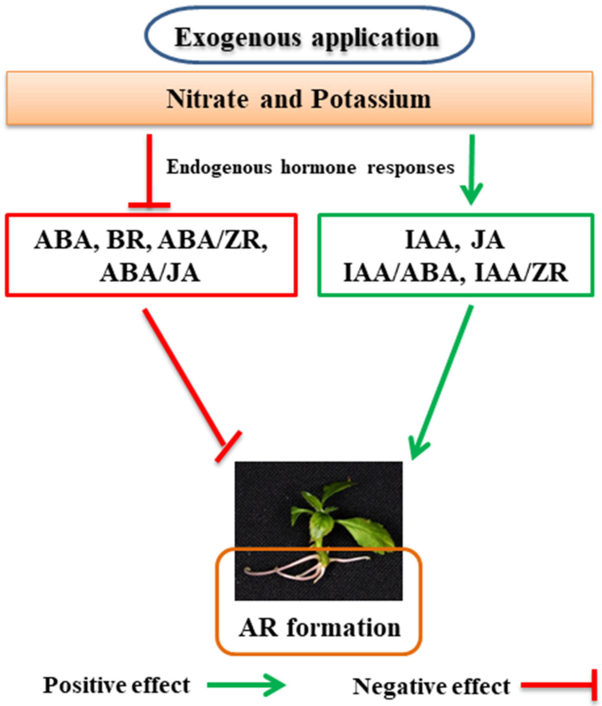 Horticulturae 08 00276 g002 Horticulturae 08 00276 g002