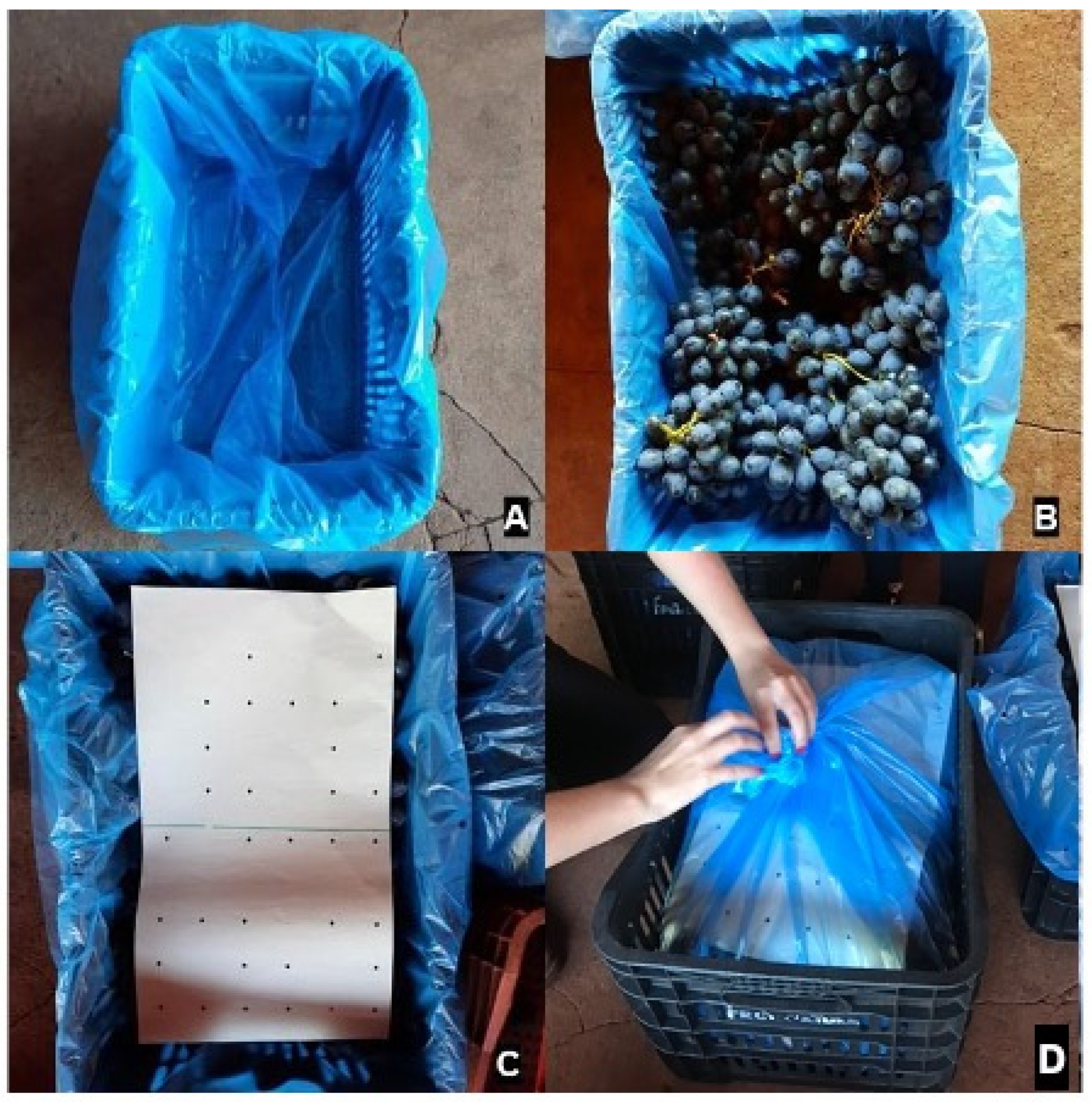 Horticulturae 08 00285 g001 Horticulturae 08 00285 g001