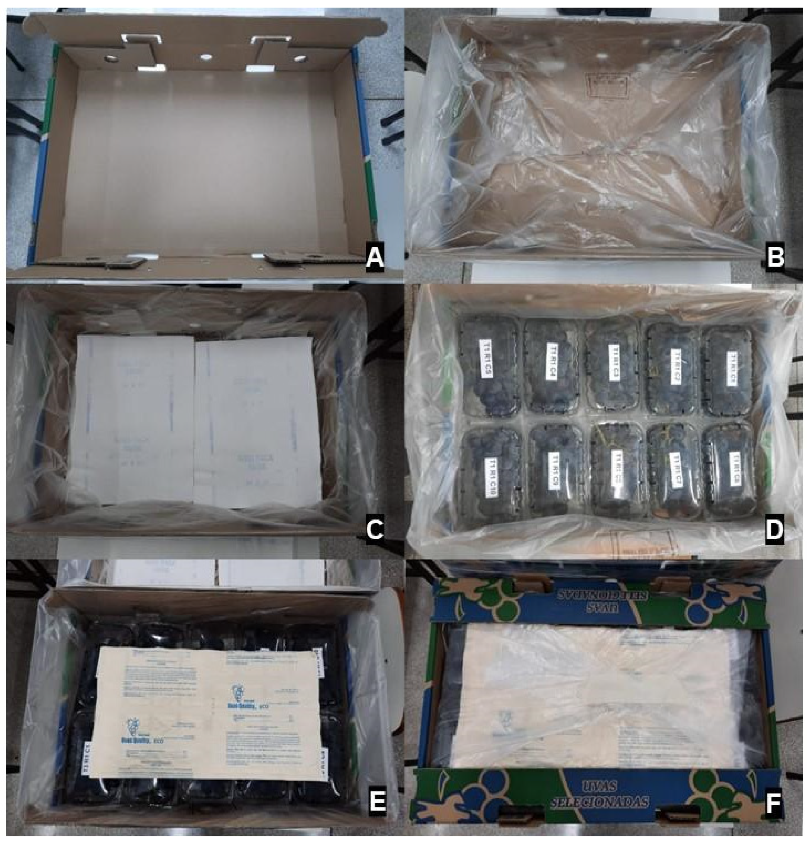 Horticulturae 08 00285 g002 Horticulturae 08 00285 g002