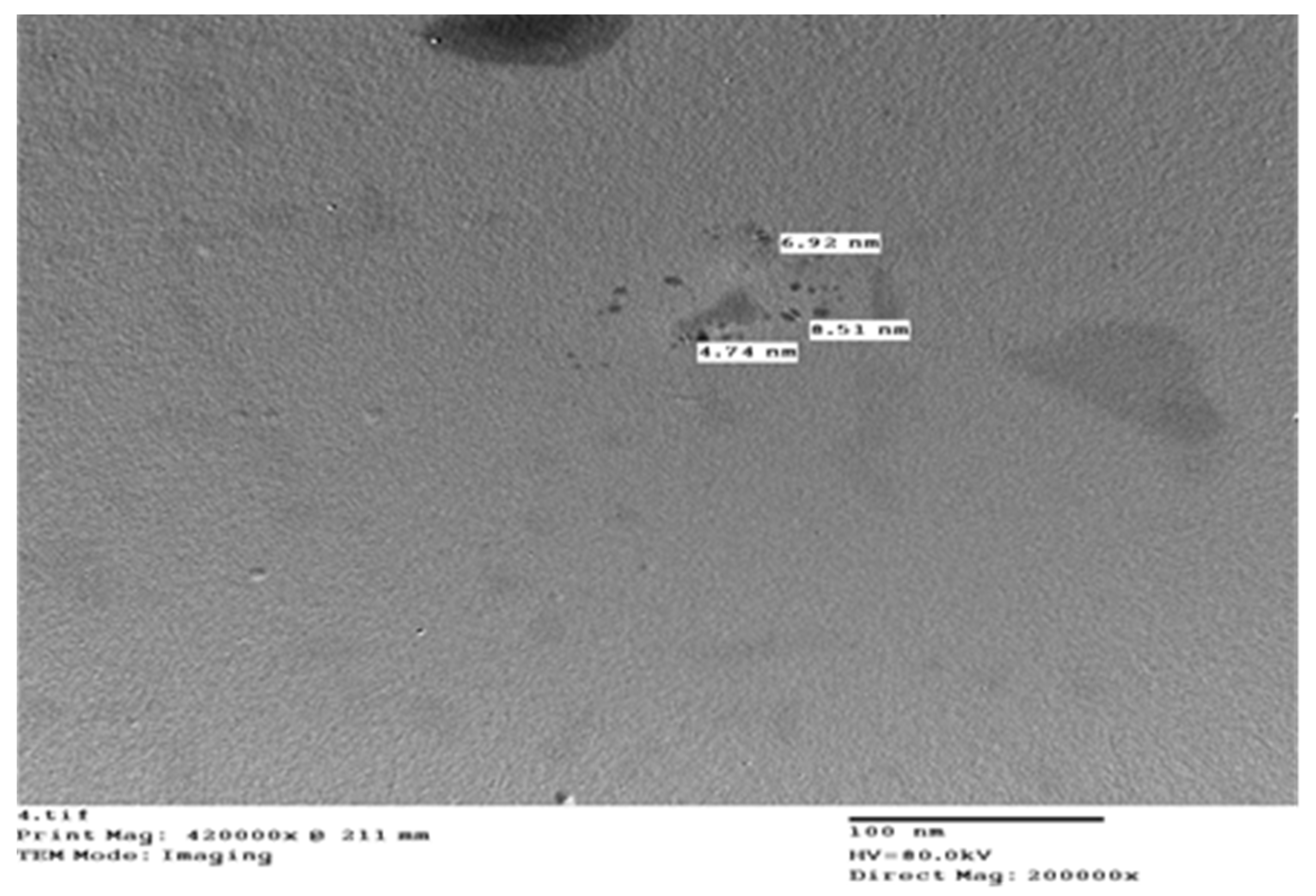 Horticulturae 08 00293 g001