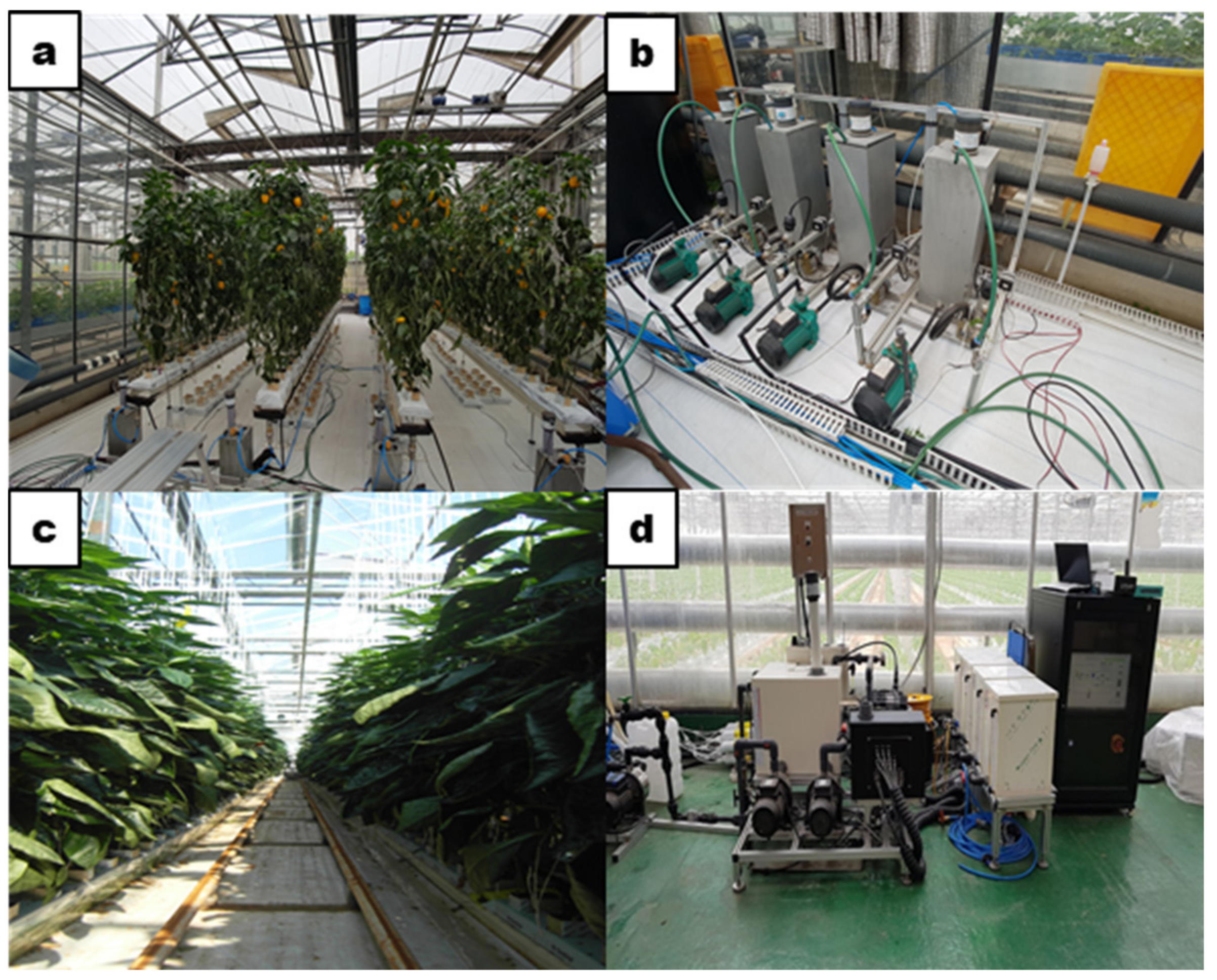 Horticulturae 08 00295 g001