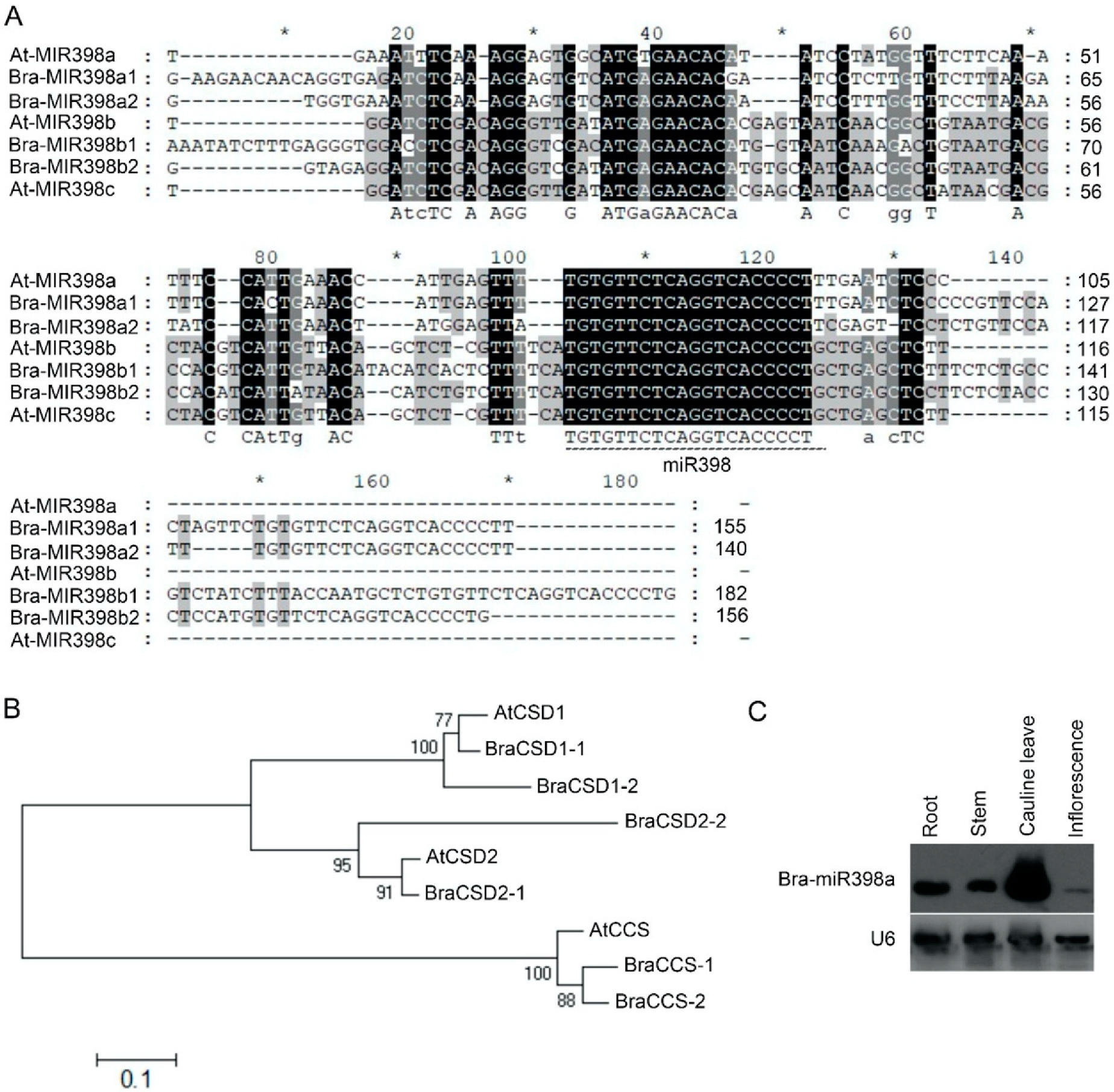 Horticulturae 08 00299 g001 Horticulturae 08 00299 g001