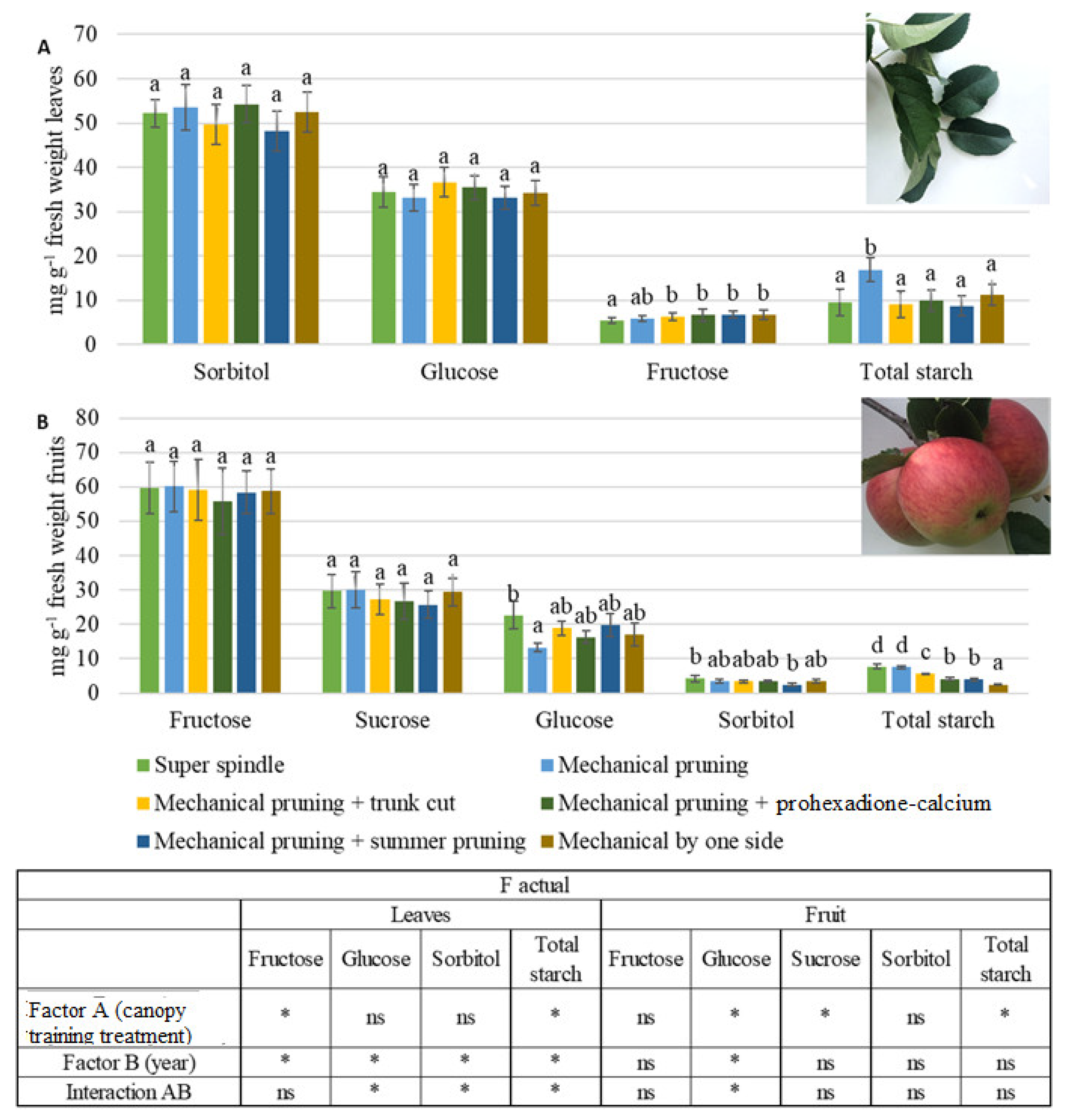 Horticulturae 08 00300 g004