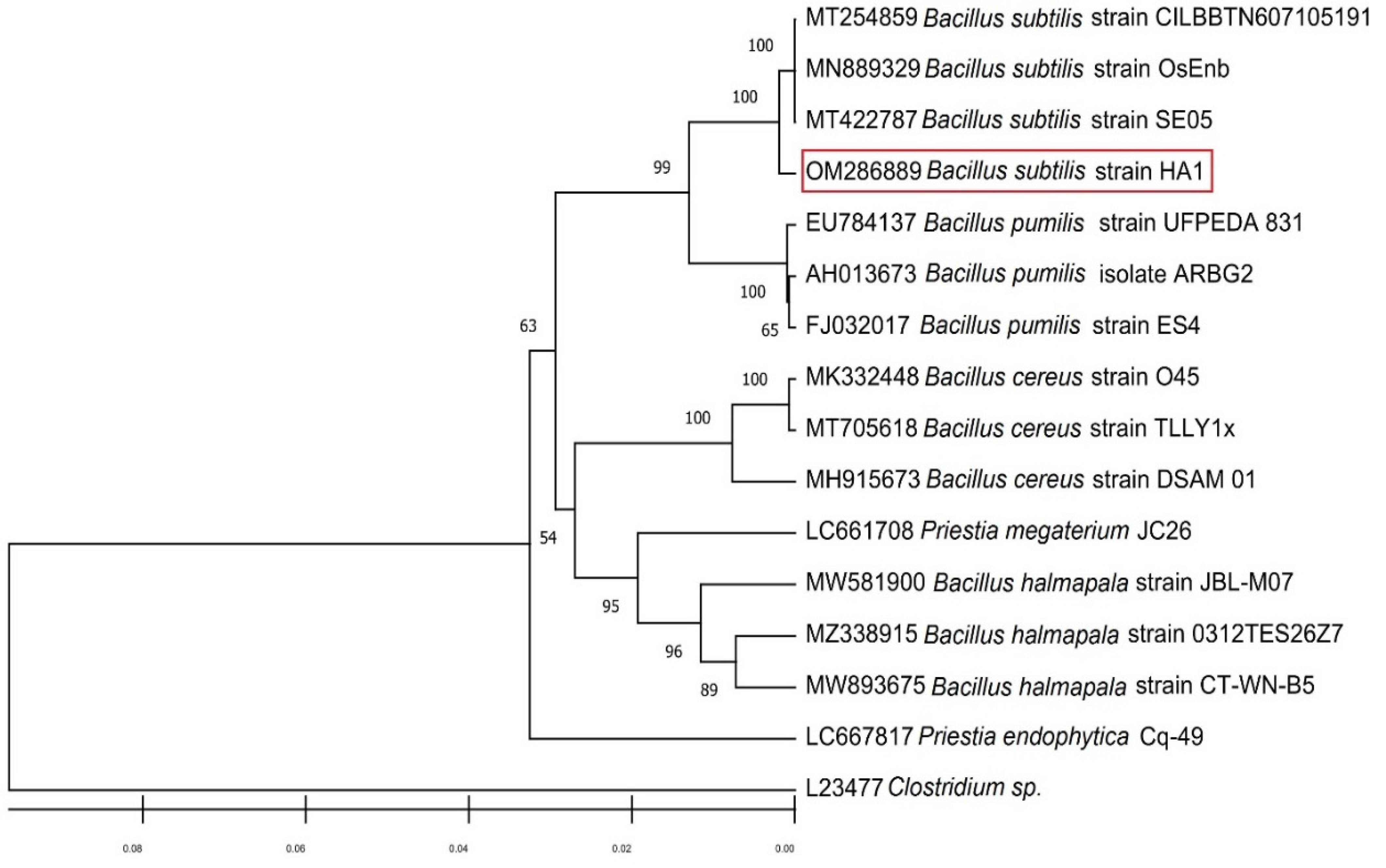 Horticulturae 08 00301 g001 Horticulturae 08 00301 g001