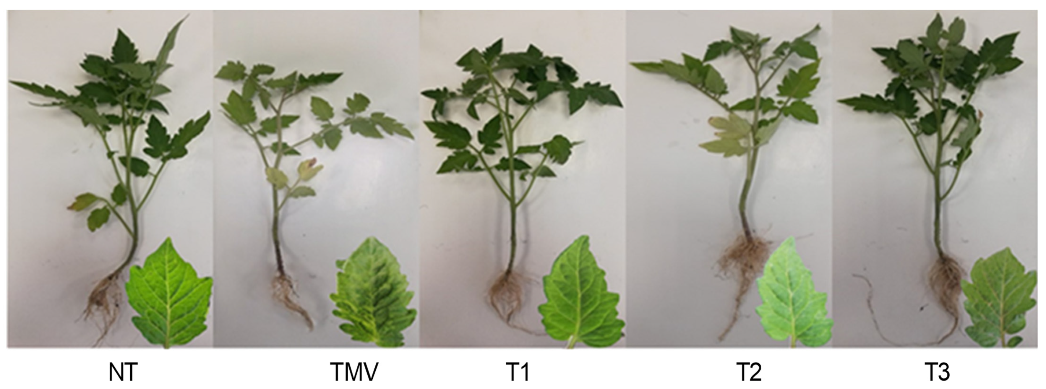 Horticulturae 08 00301 g002 Horticulturae 08 00301 g002