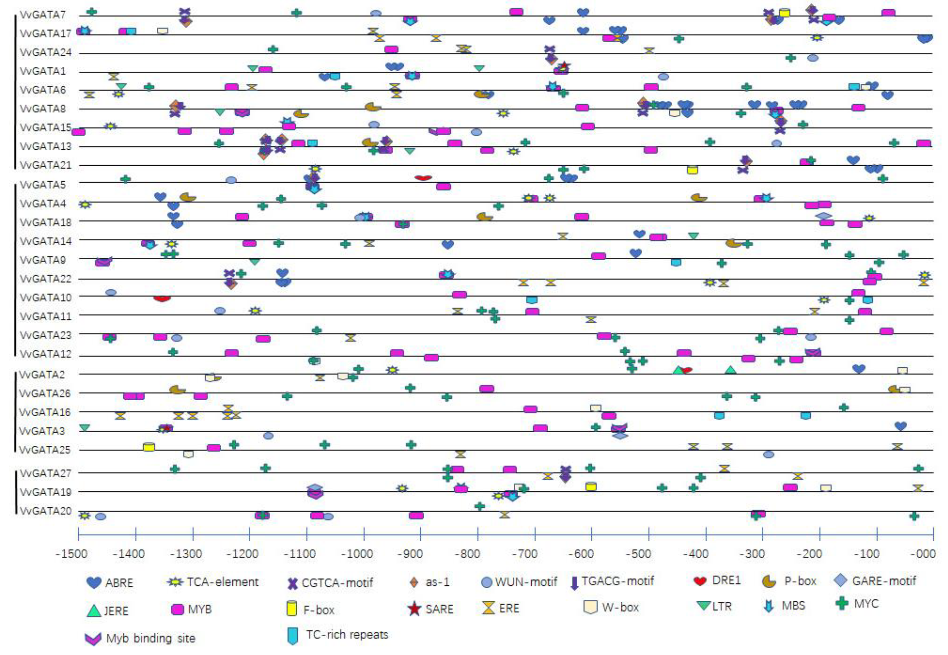 Horticulturae 08 00303 g003