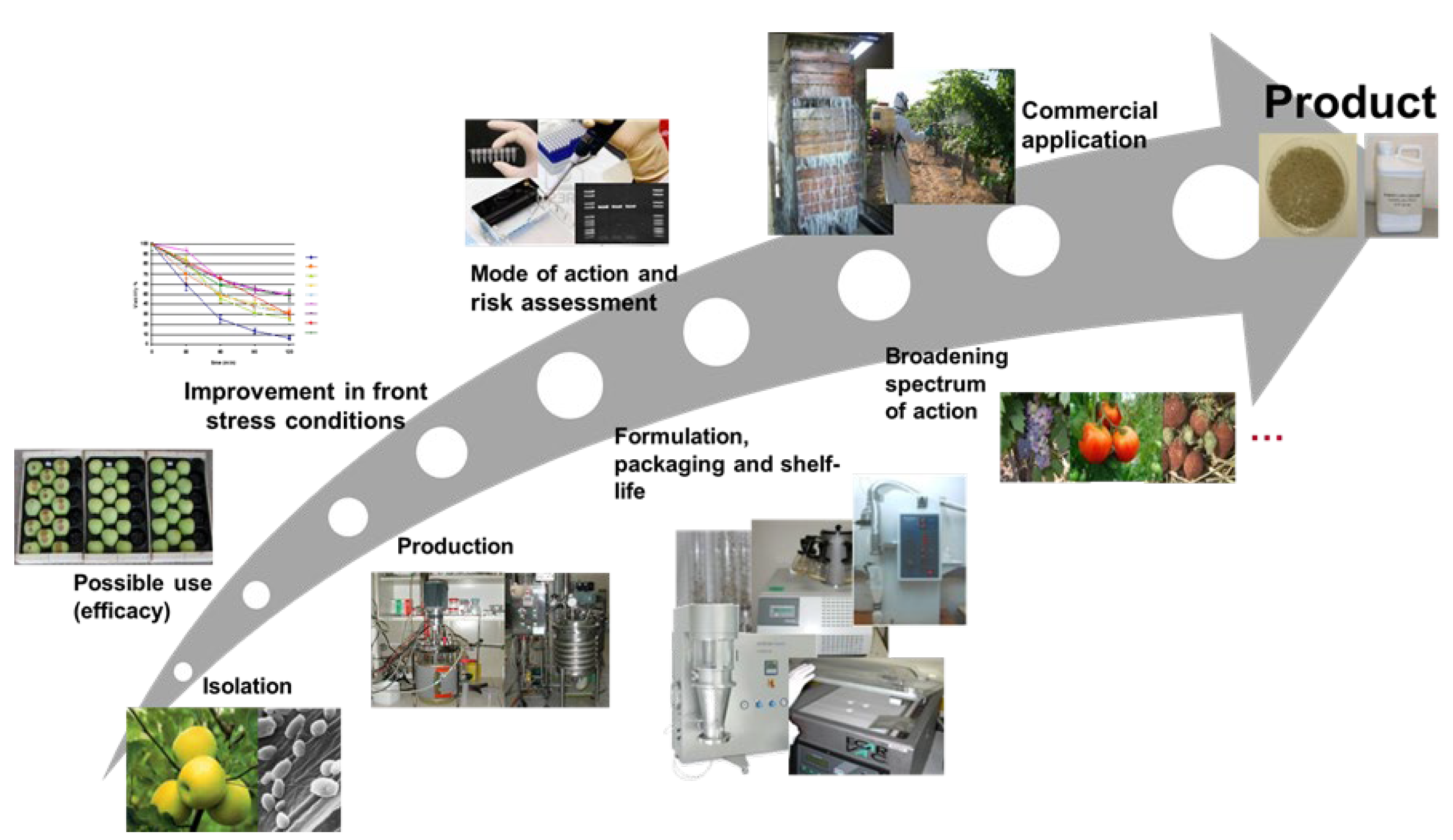 Horticulturae 08 00305 g001 Horticulturae 08 00305 g001