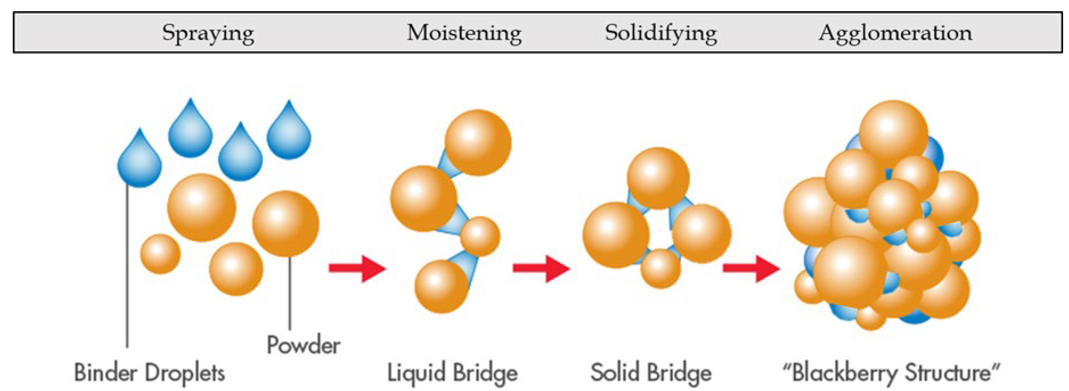 Horticulturae 08 00305 g005 Horticulturae 08 00305 g005