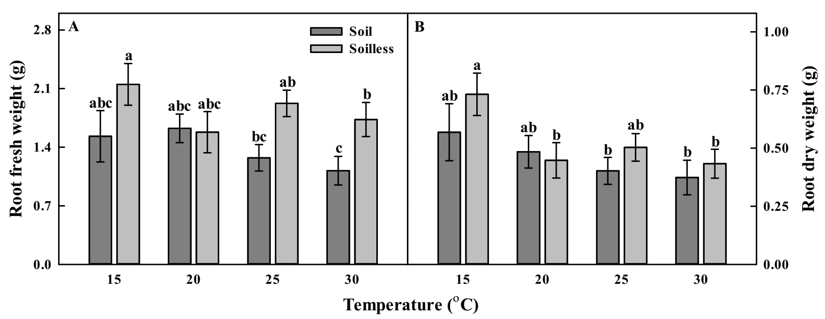 Horticulturae 08 00315 g002 550
