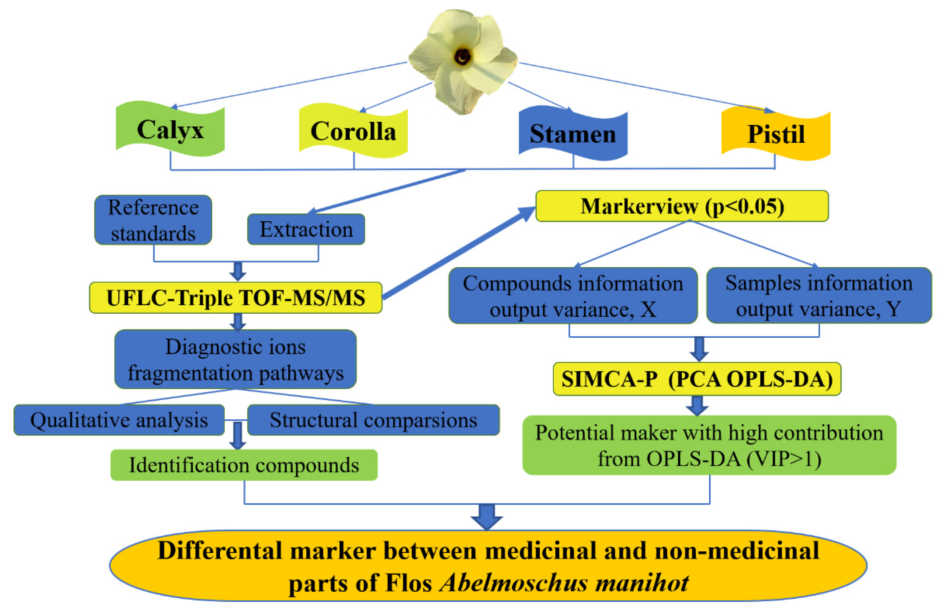 Horticulturae 08 00317 g001