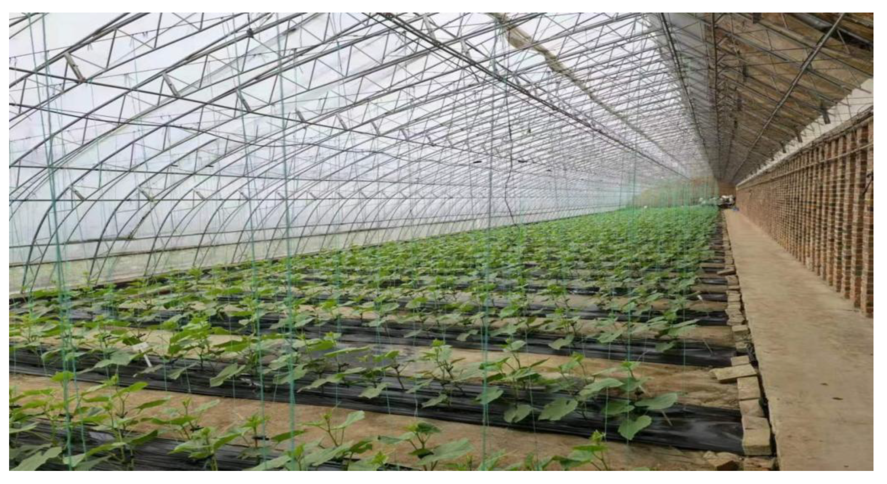 Horticulturae 08 00320 g001