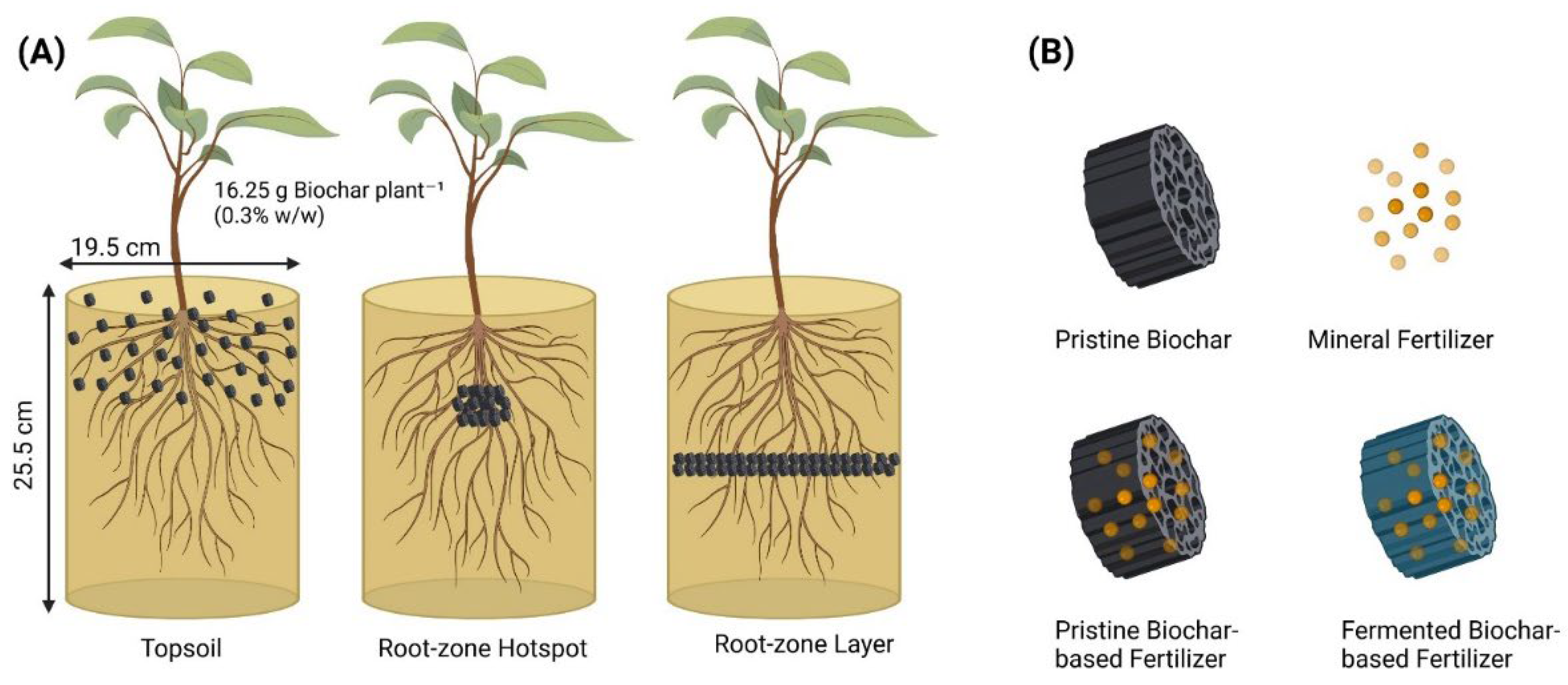 Horticulturae Free FullText Impact of Different Methods of Root