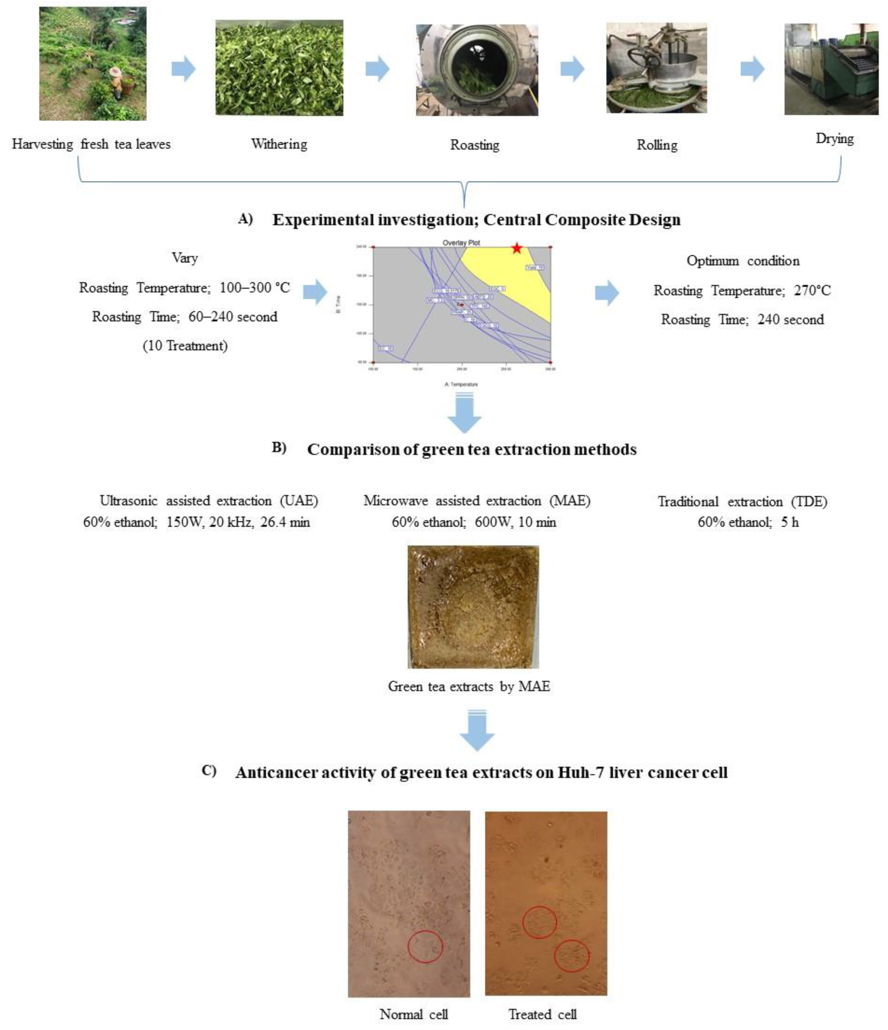 Horticulturae 08 00338 g001