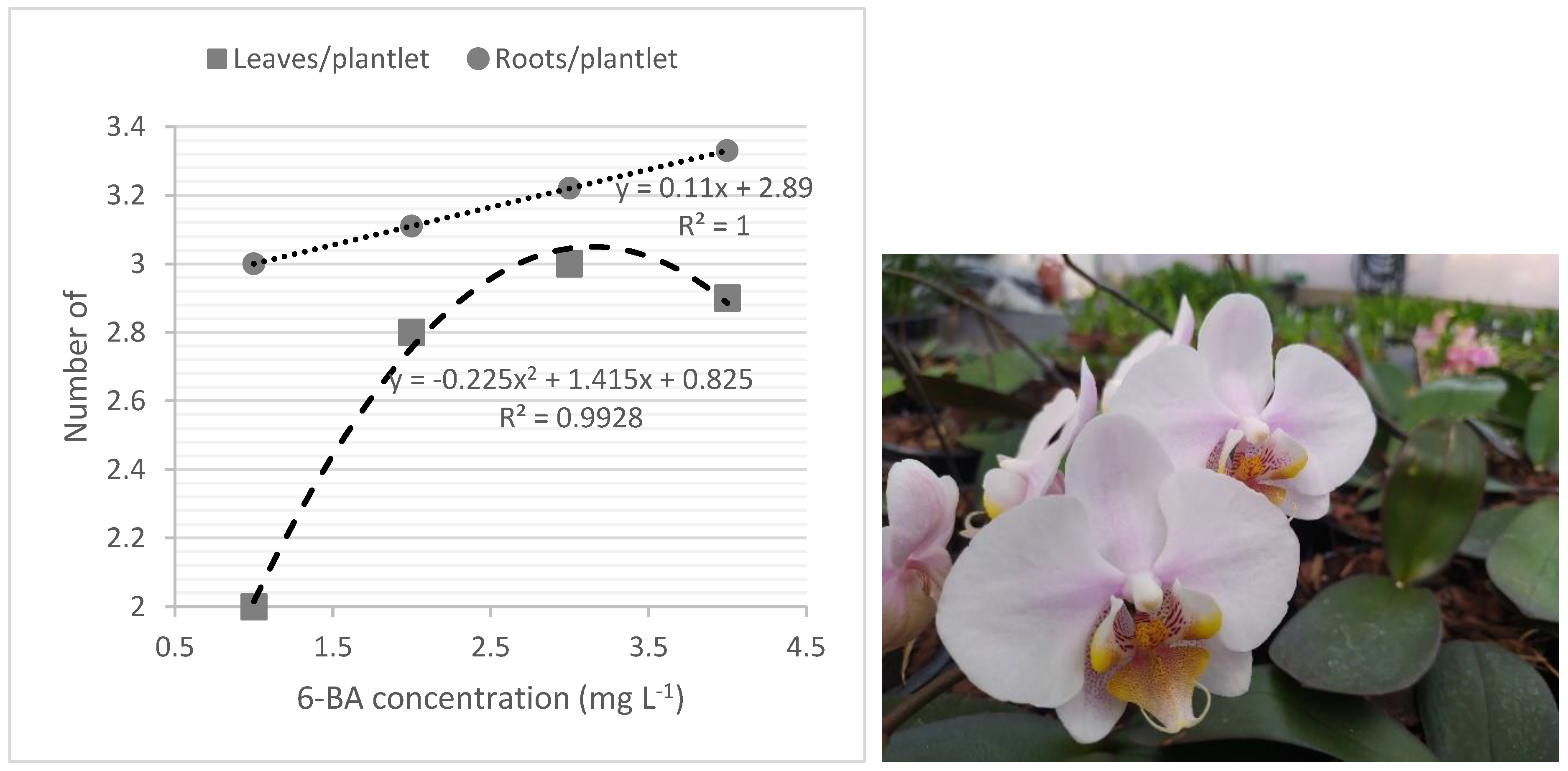 Horticulturae 08 00340 g003