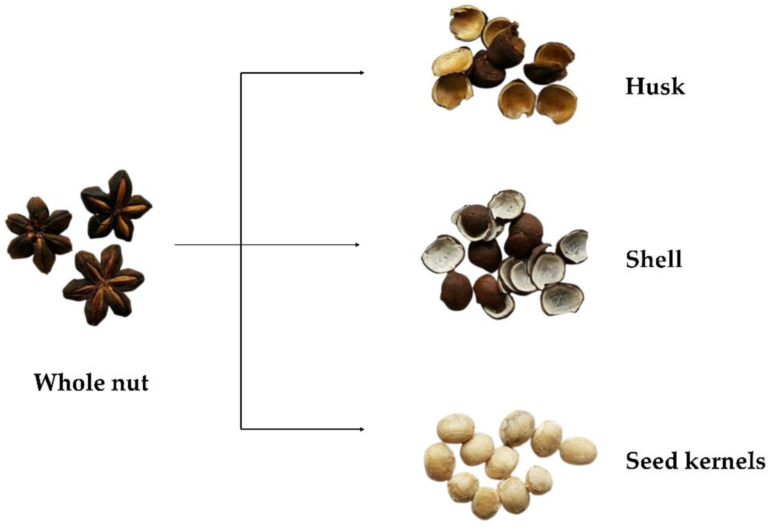 Horticulturae Free Full Text Evaluation Of Sacha Inchi Plukenetia Volubilis L By Products As Valuable And Sustainable Sources Of Health Benefits