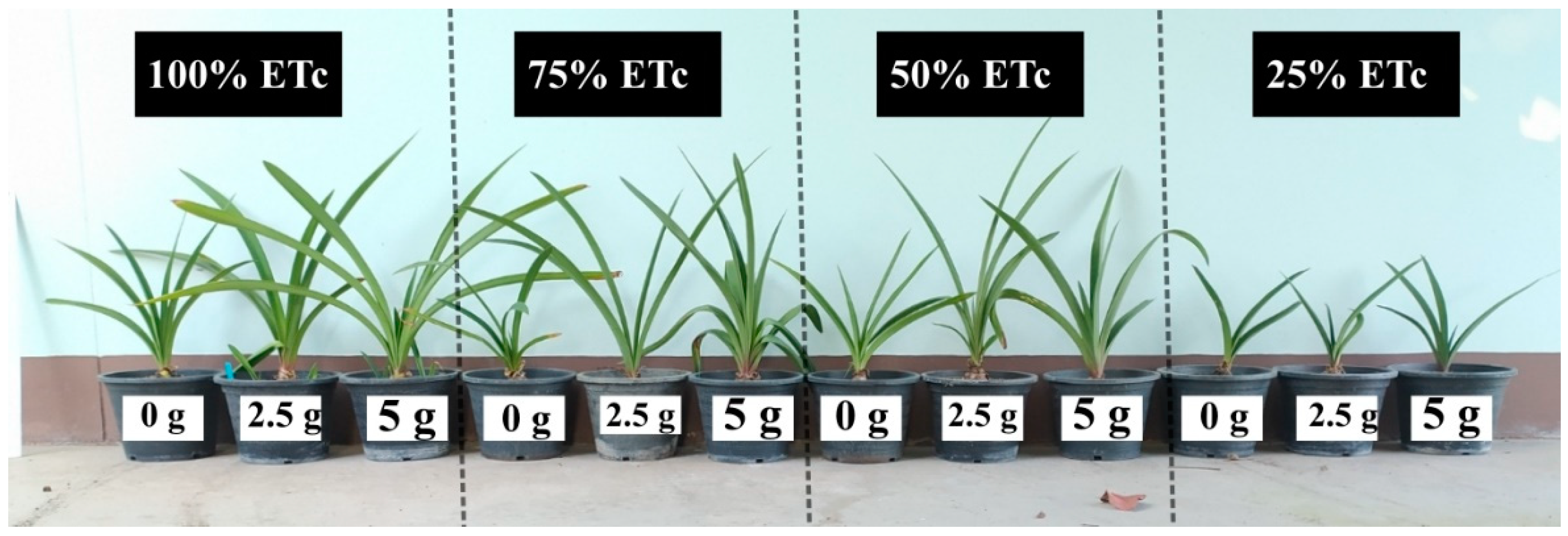 Horticulturae 08 00345 g004 550