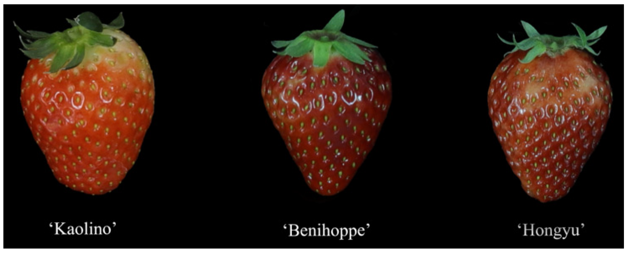 Horticulturae 08 00348 g001 550