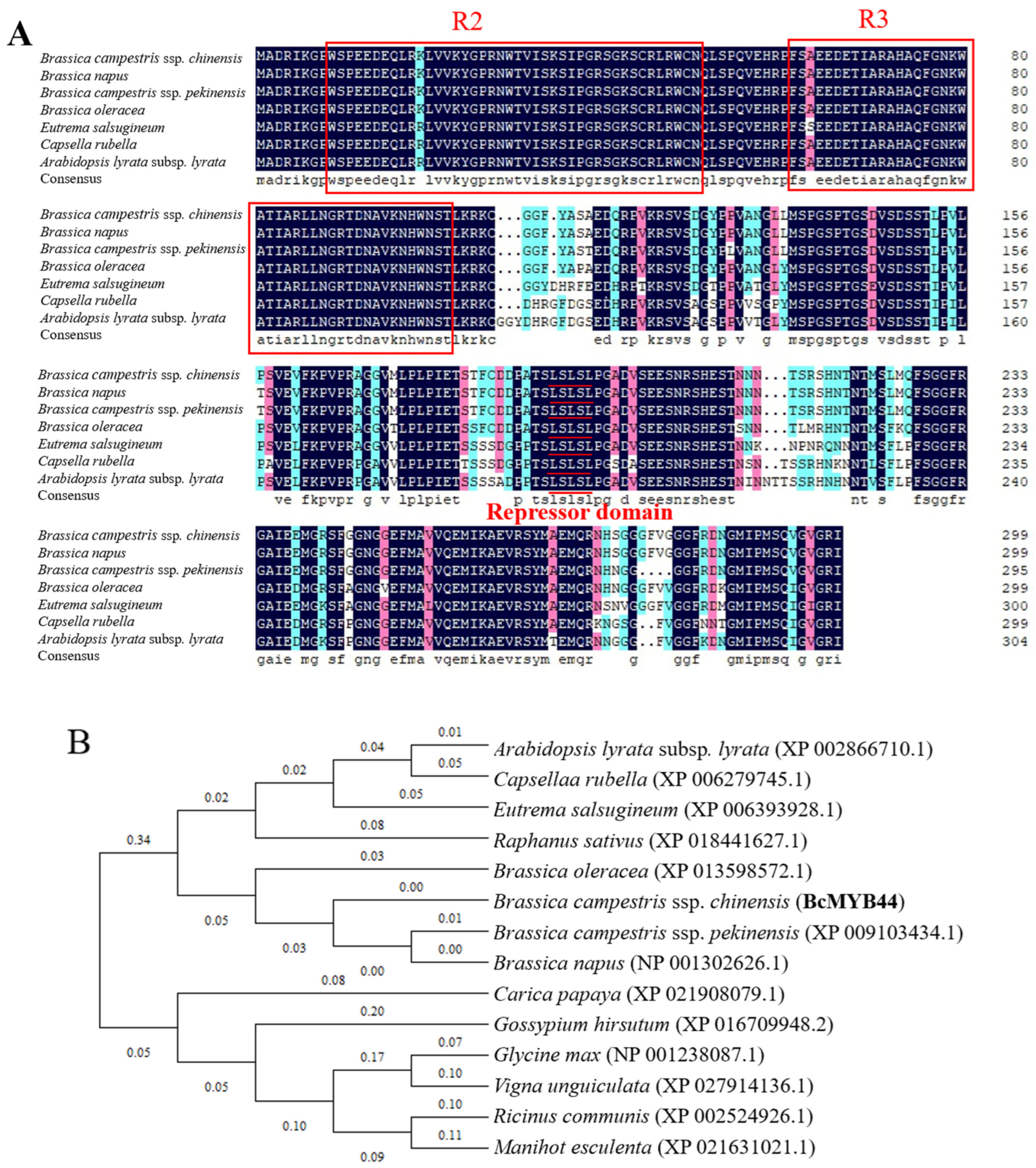 Horticulturae 08 00351 g001