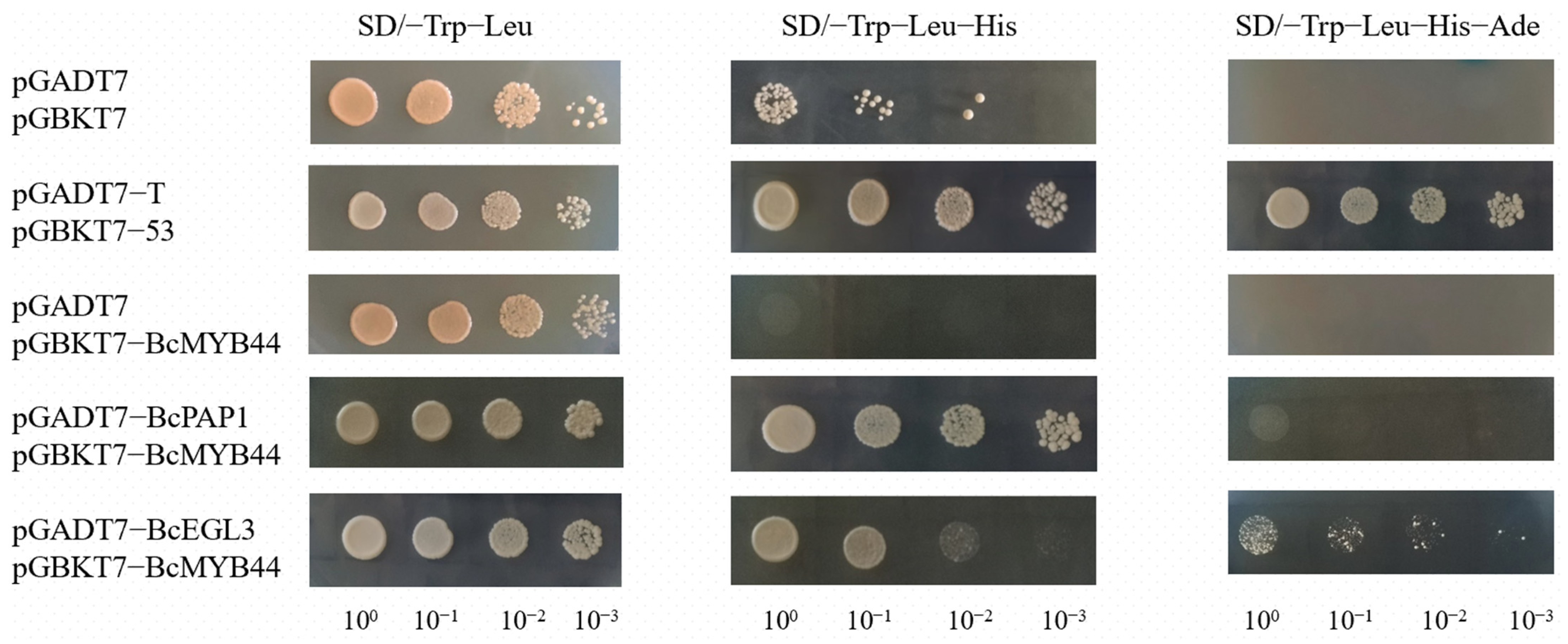Horticulturae 08 00351 g003