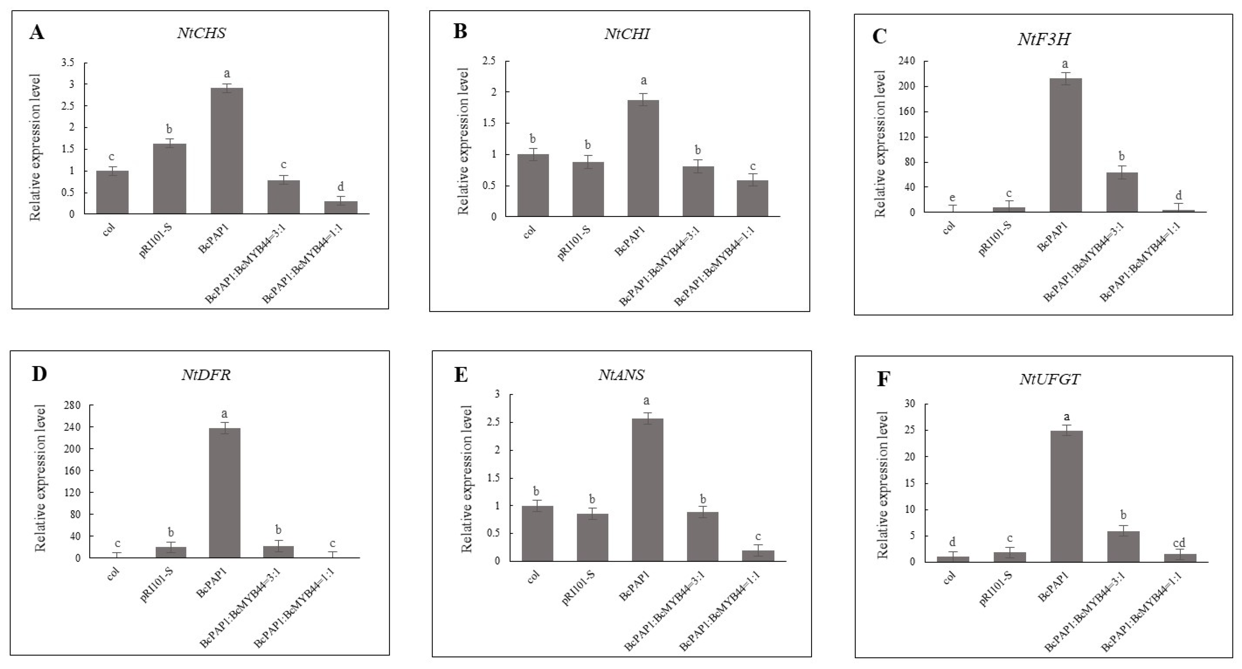Horticulturae 08 00351 g006