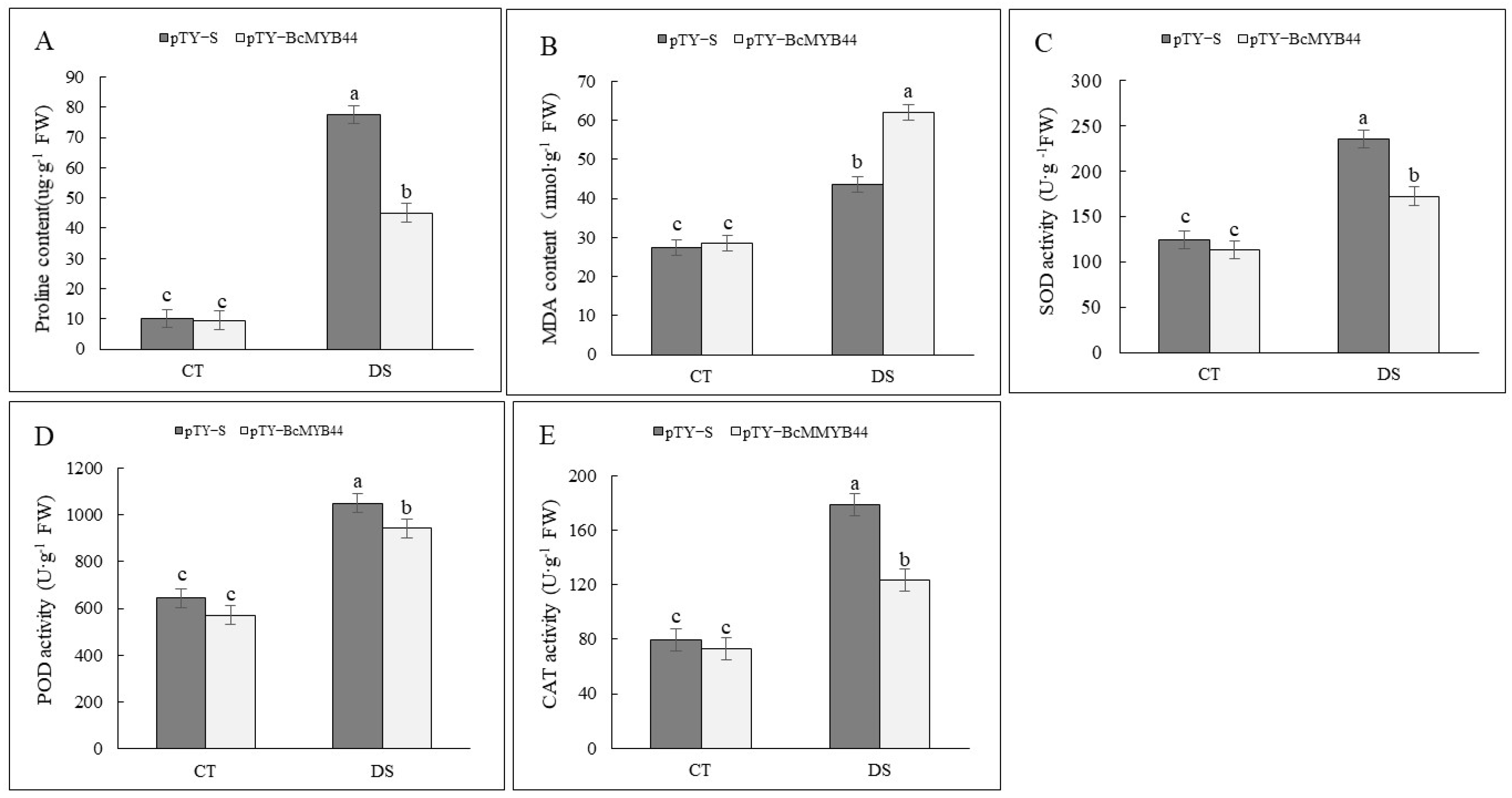 Horticulturae 08 00351 g010