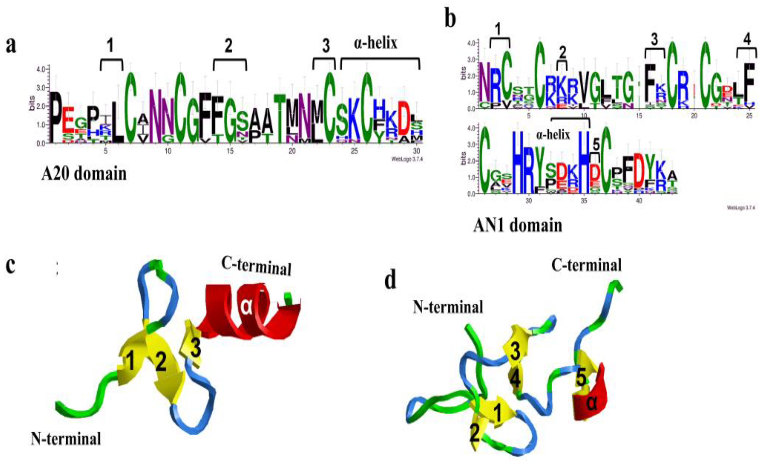 Horticulturae 08 00363 g002 Horticulturae 08 00363 g002