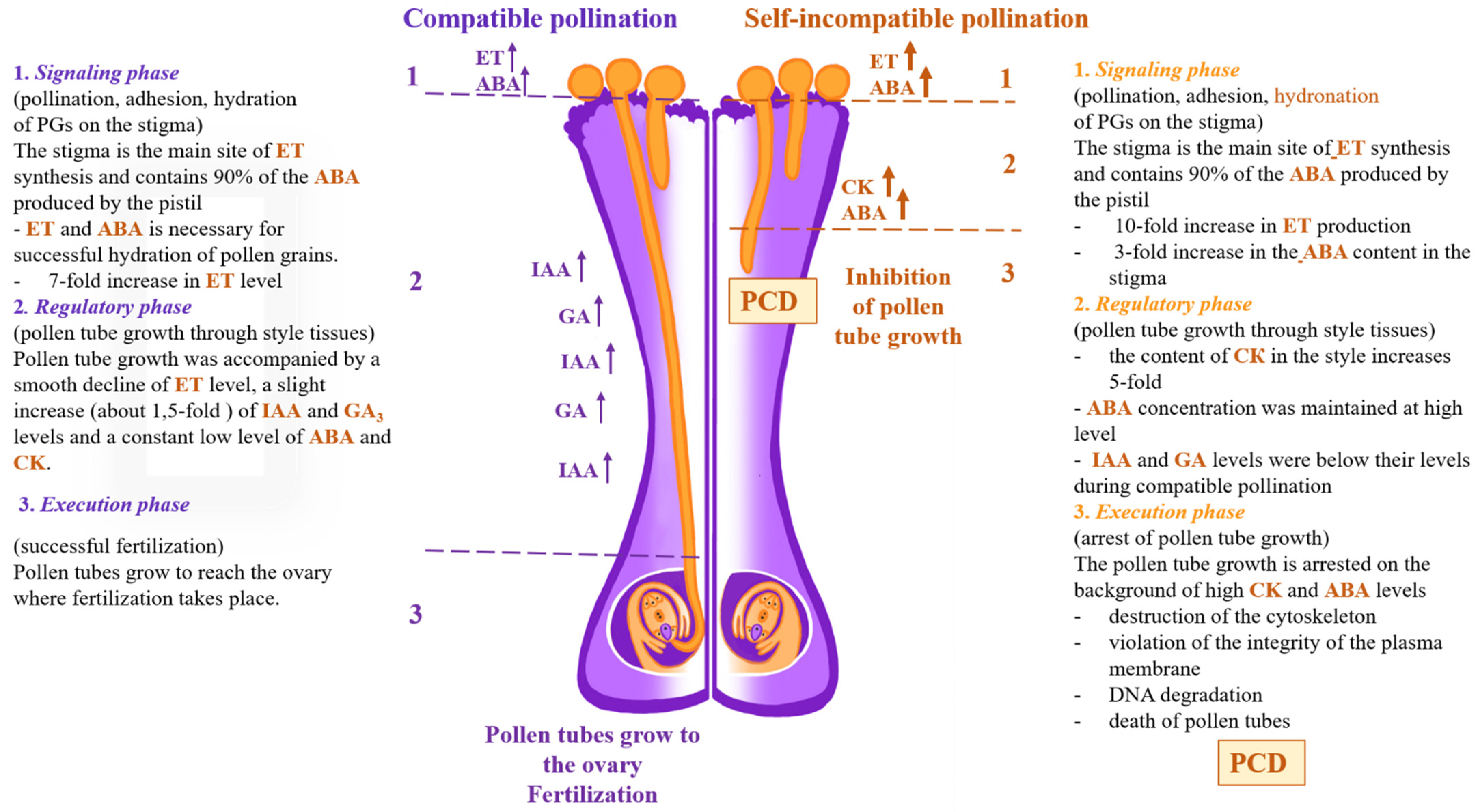 Horticulturae 08 00365 g002 Horticulturae 08 00365 g002