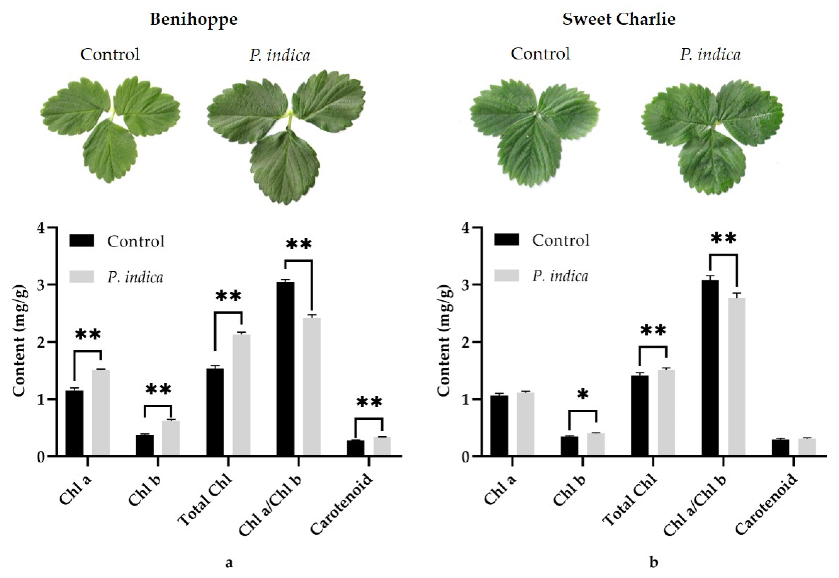Horticulturae 08 00370 g003