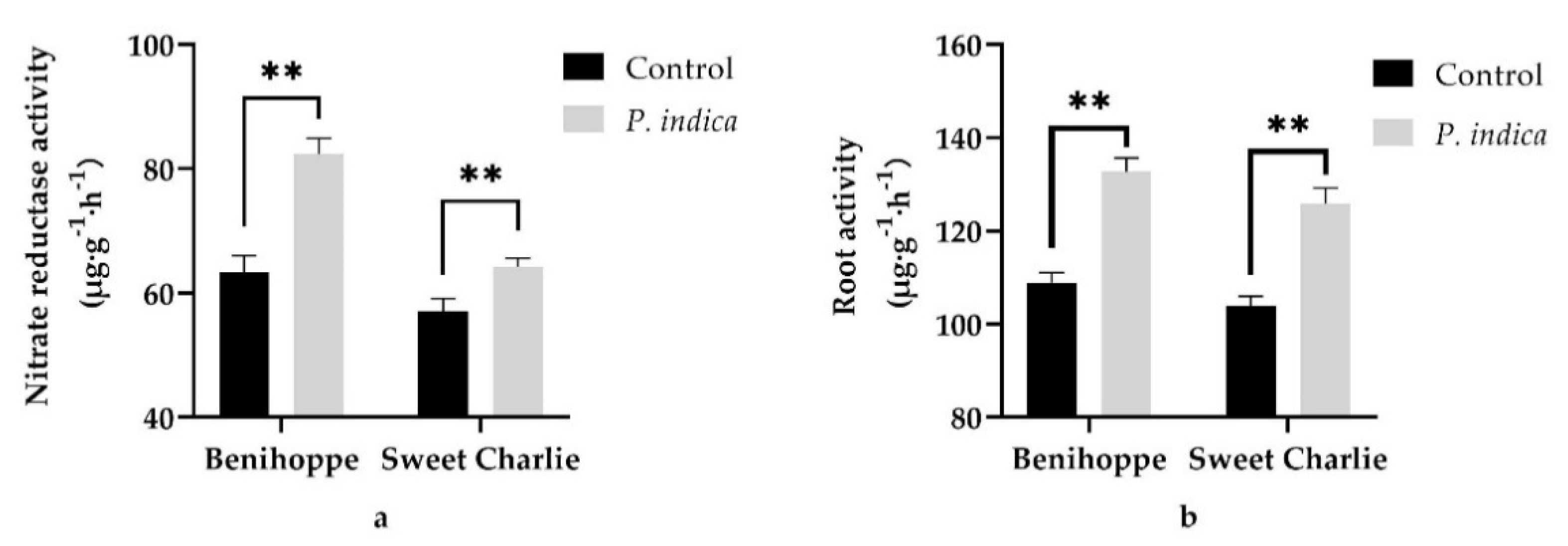 Horticulturae 08 00370 g004
