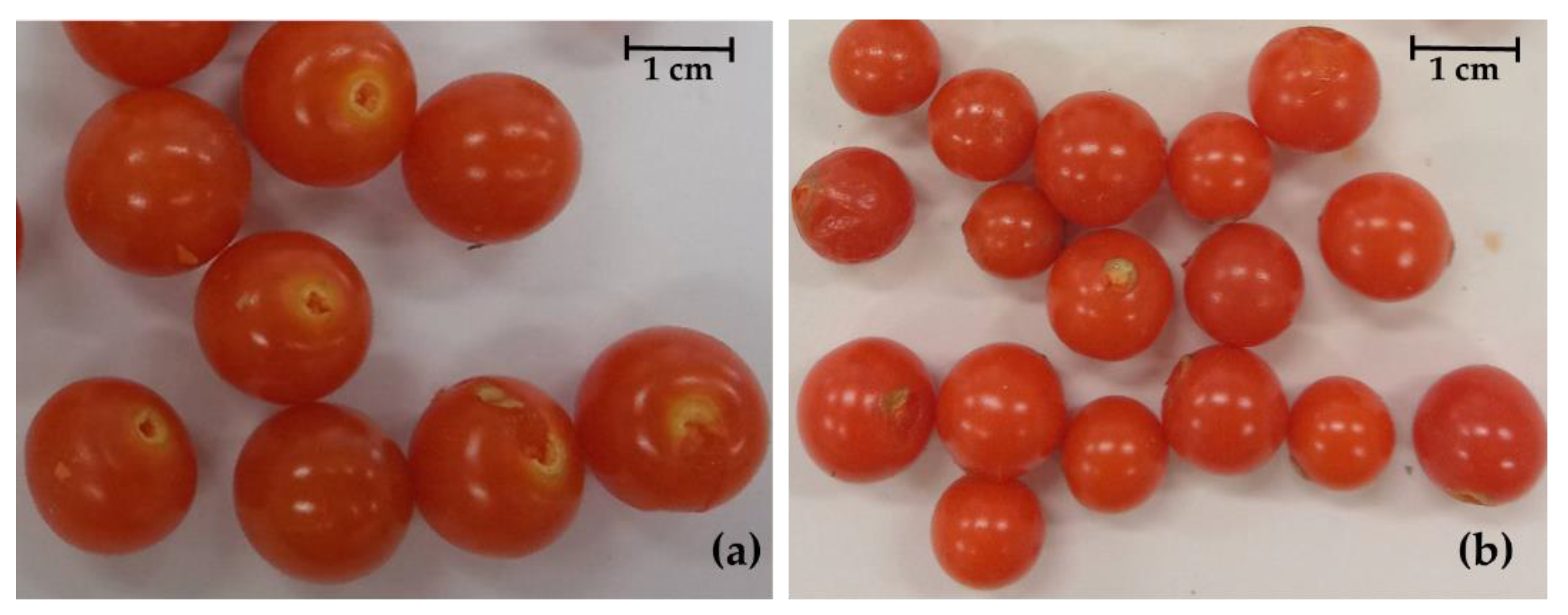 Horticulturae 08 00373 g001 550