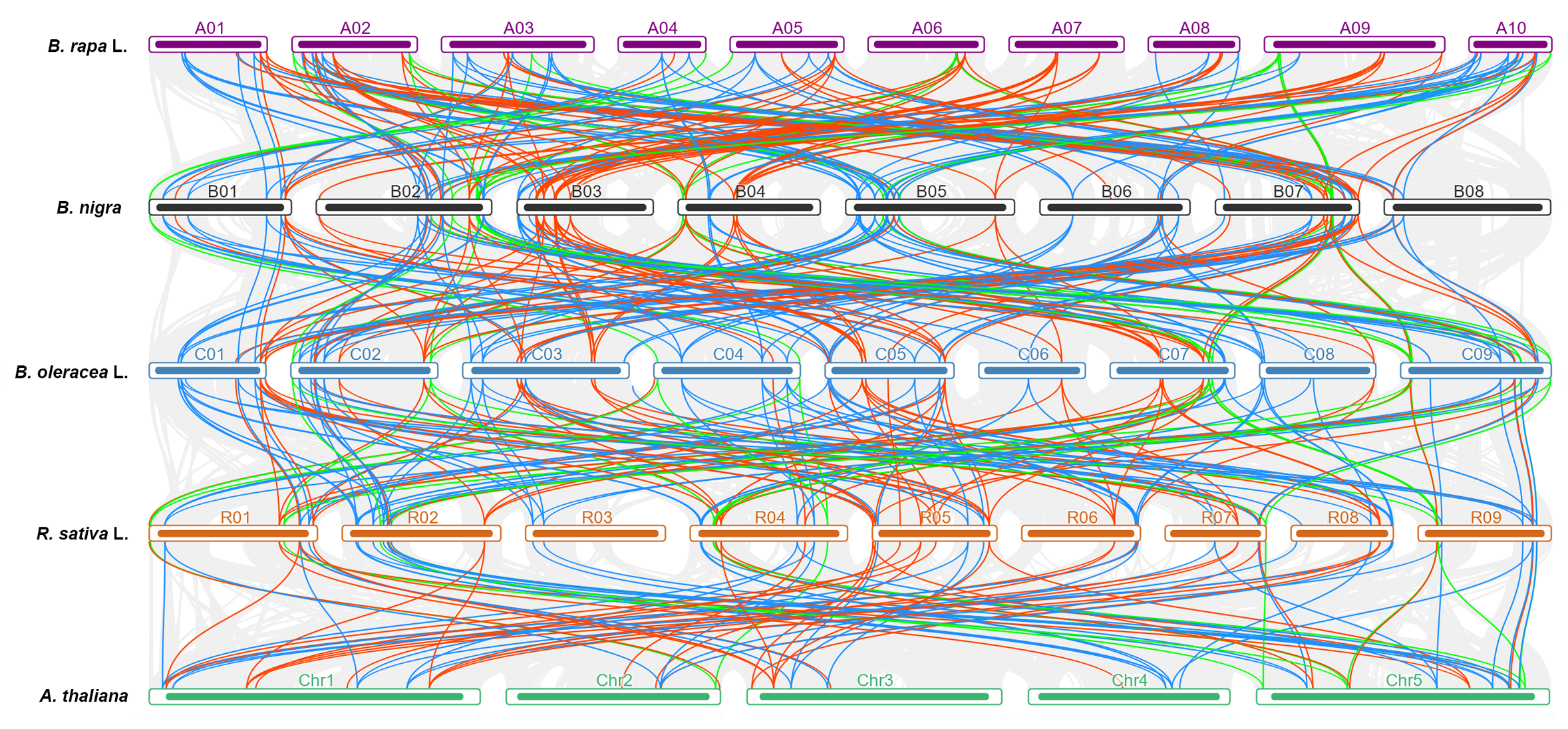 Horticulturae 08 00381 g004