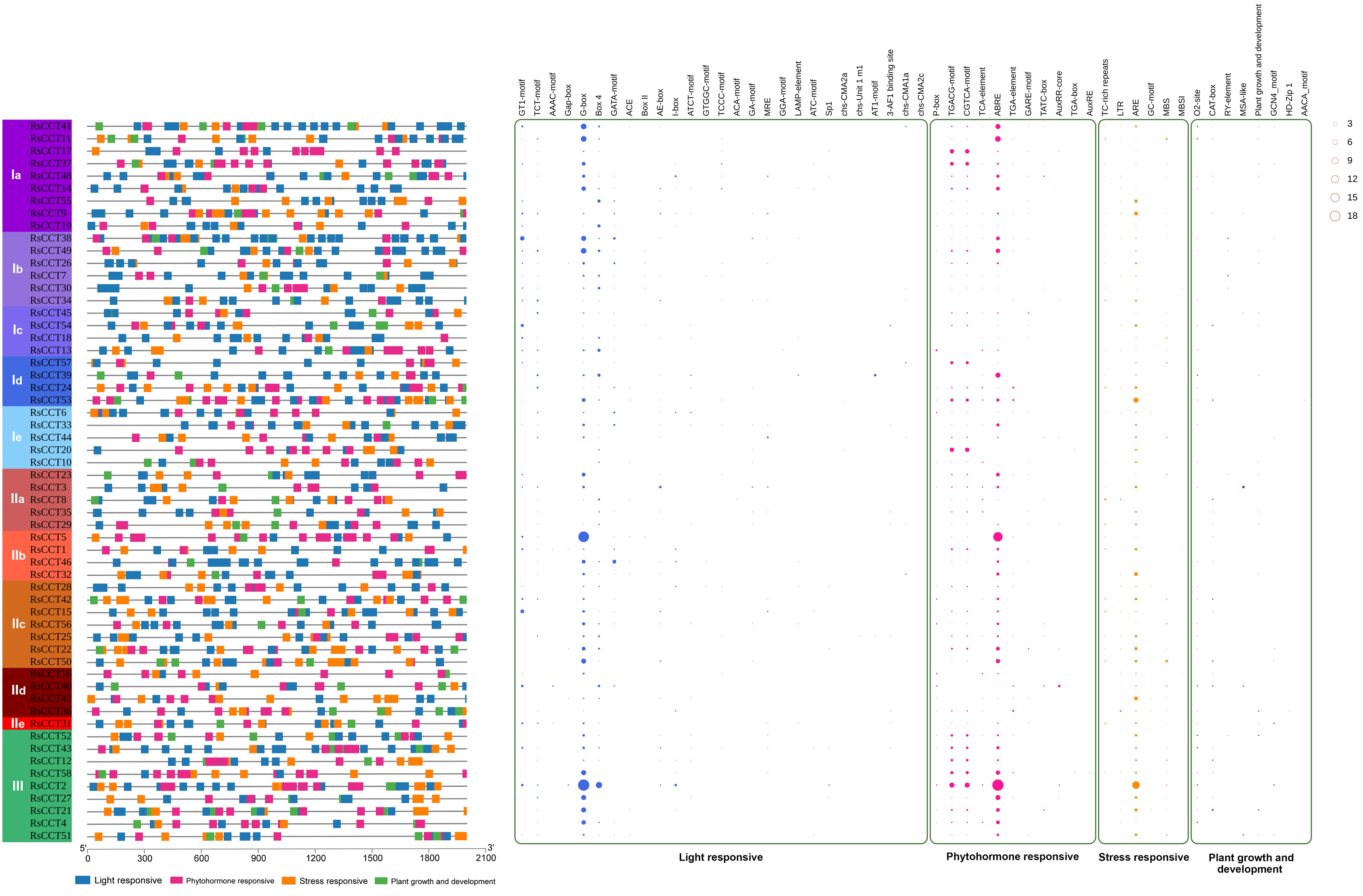 Horticulturae 08 00381 g005