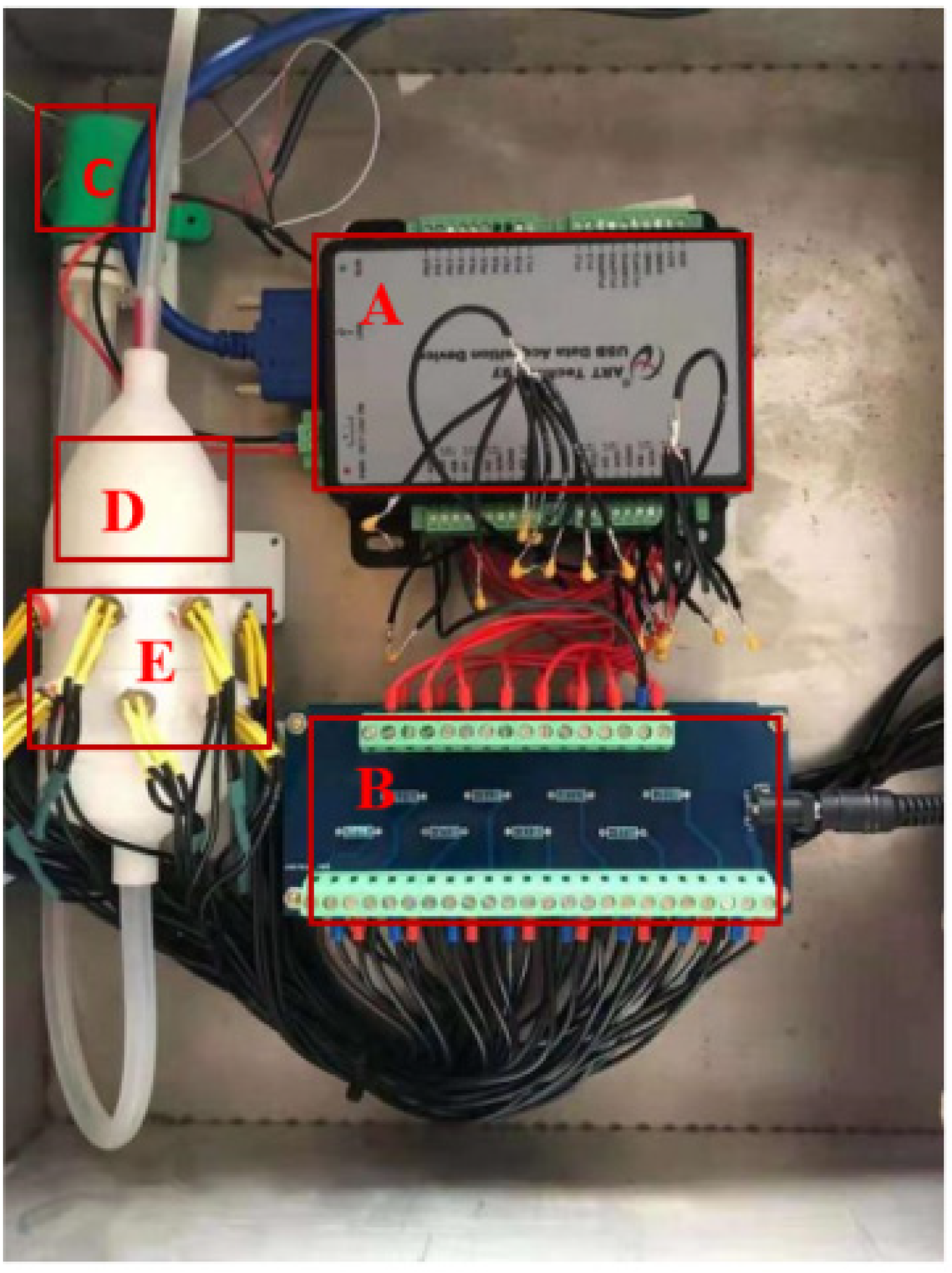 Horticulturae 08 00386 g002