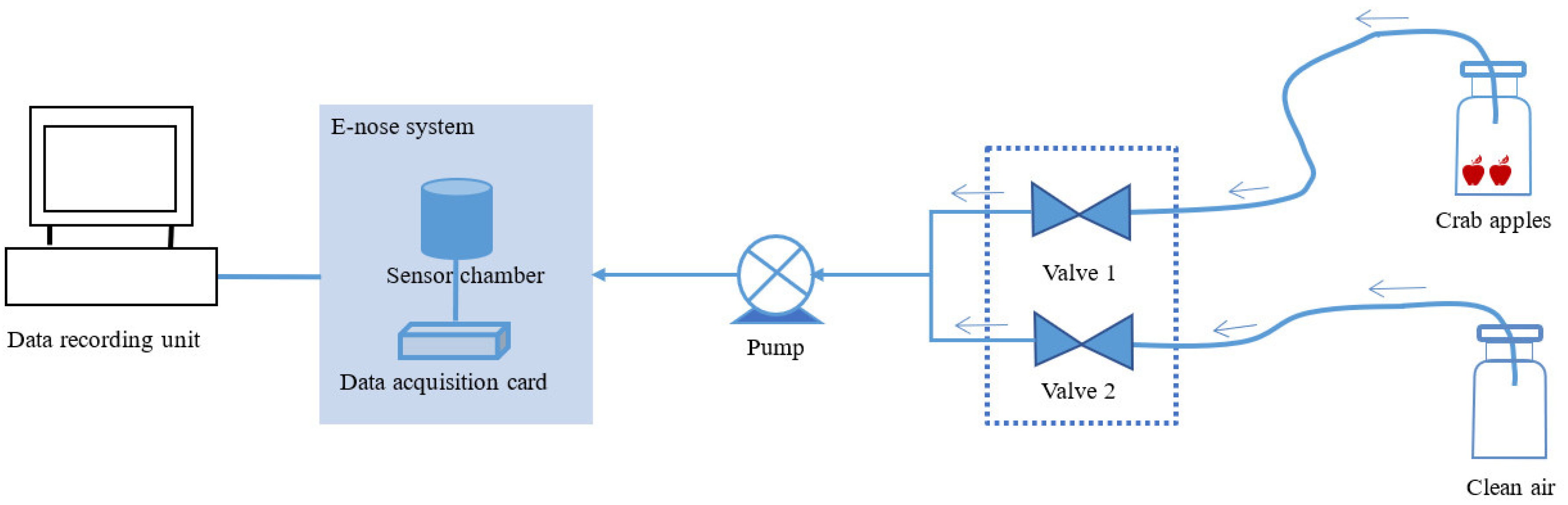 Horticulturae 08 00386 g003
