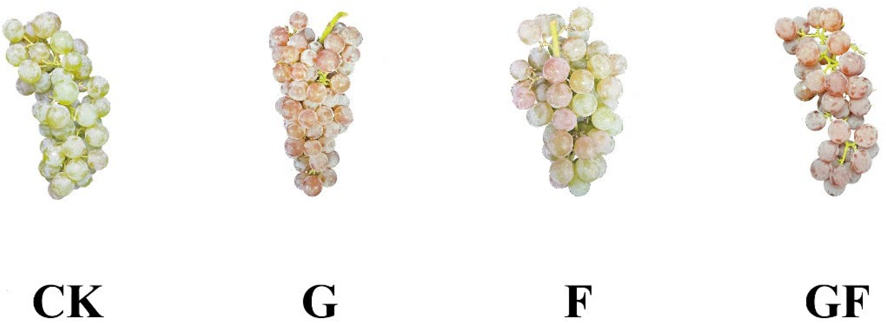 Horticulturae 08 00388 g001