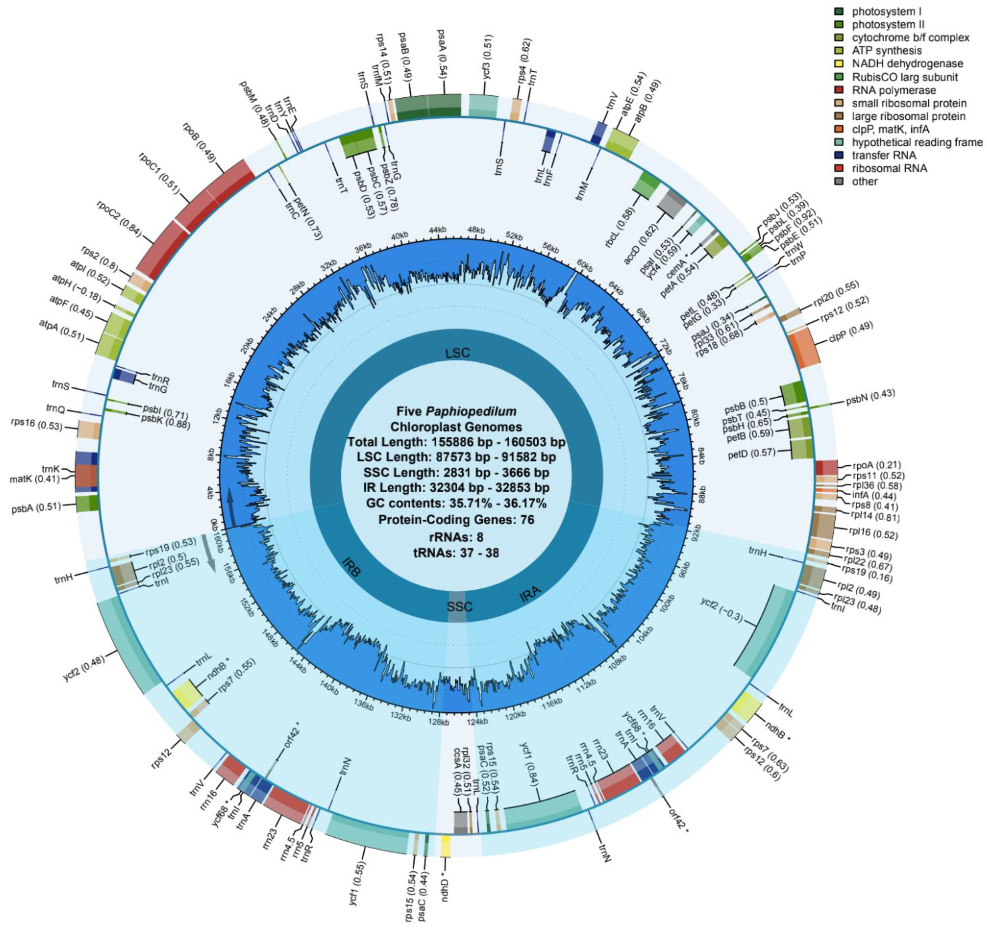Horticulturae 08 00391 g001 Horticulturae 08 00391 g001