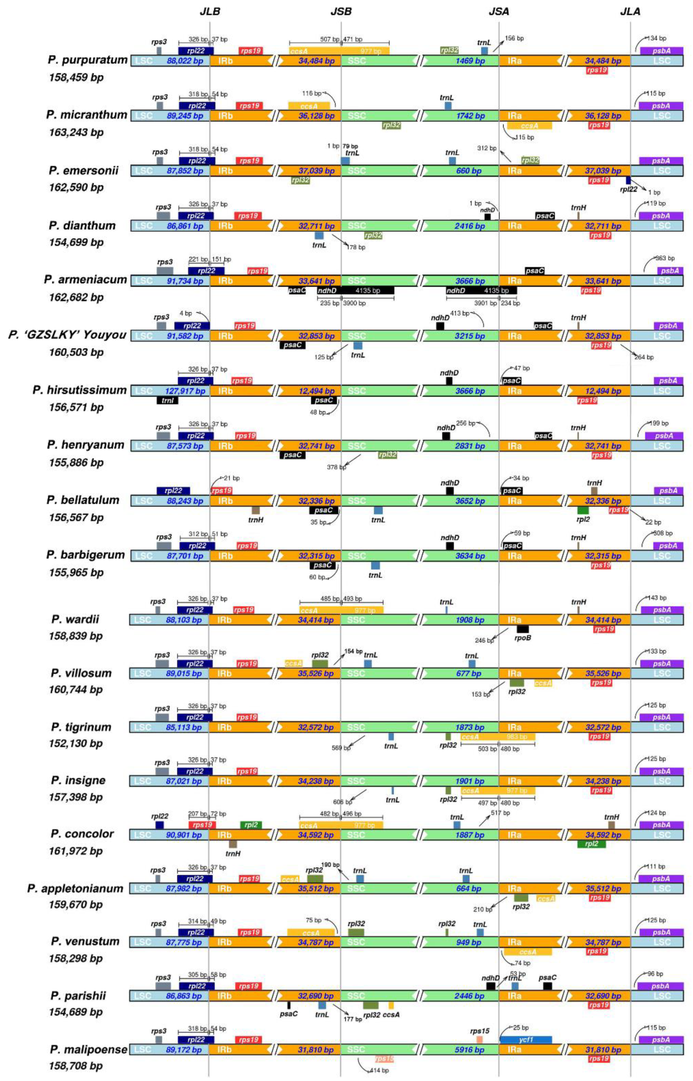 Horticulturae 08 00391 g002 Horticulturae 08 00391 g002