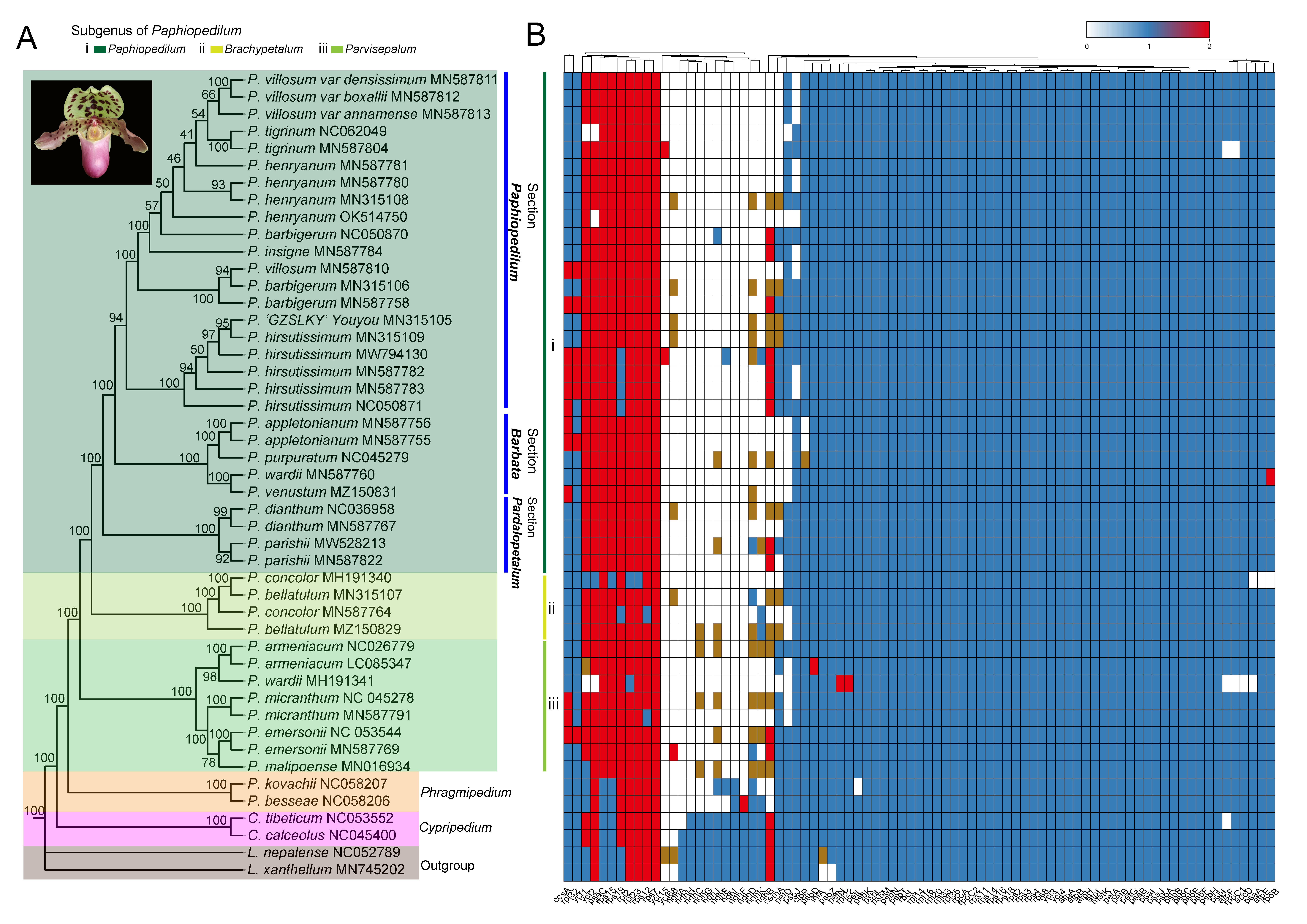 Horticulturae 08 00391 g006 Horticulturae 08 00391 g006