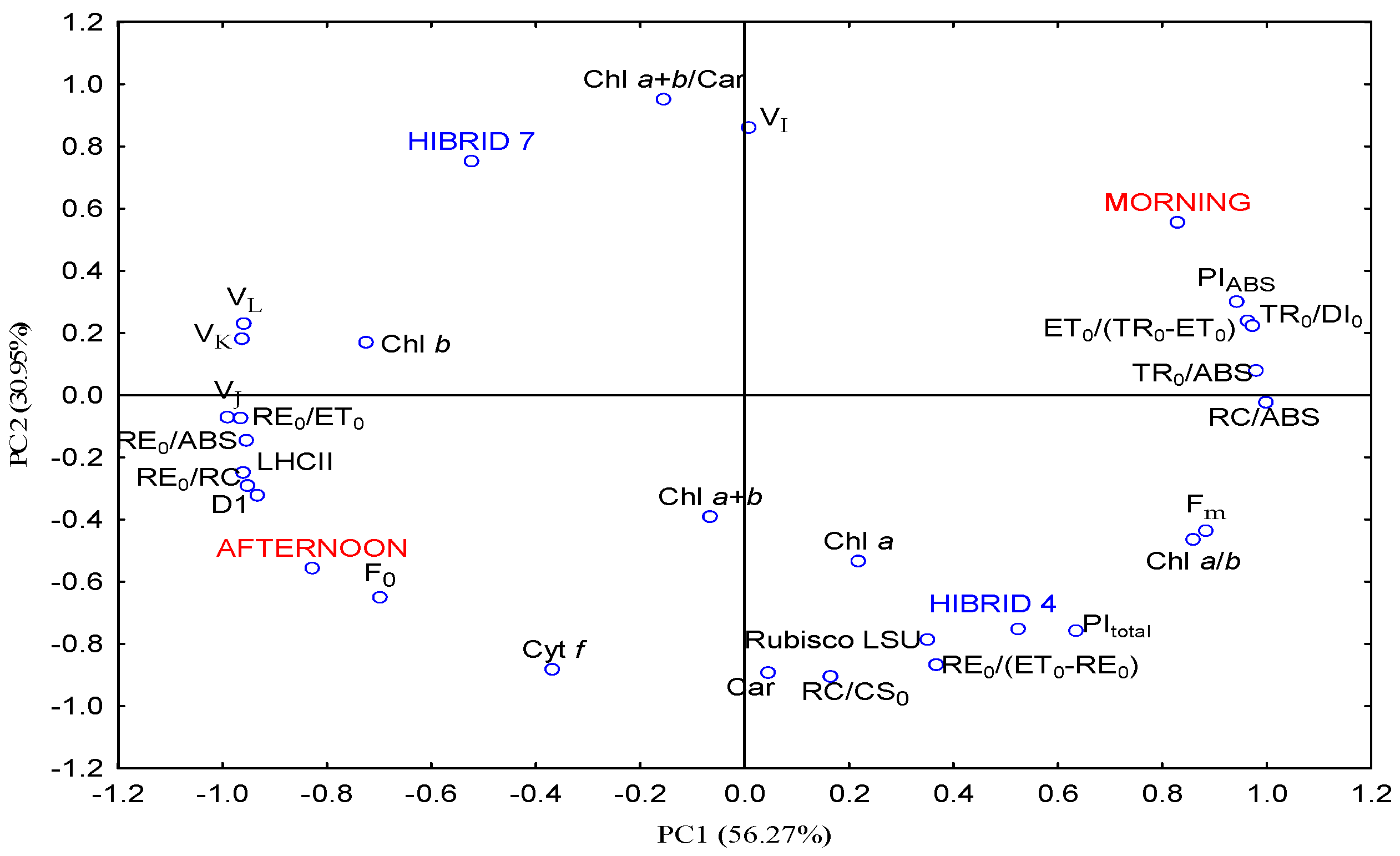 Horticulturae 08 00392 g004 Horticulturae 08 00392 g004