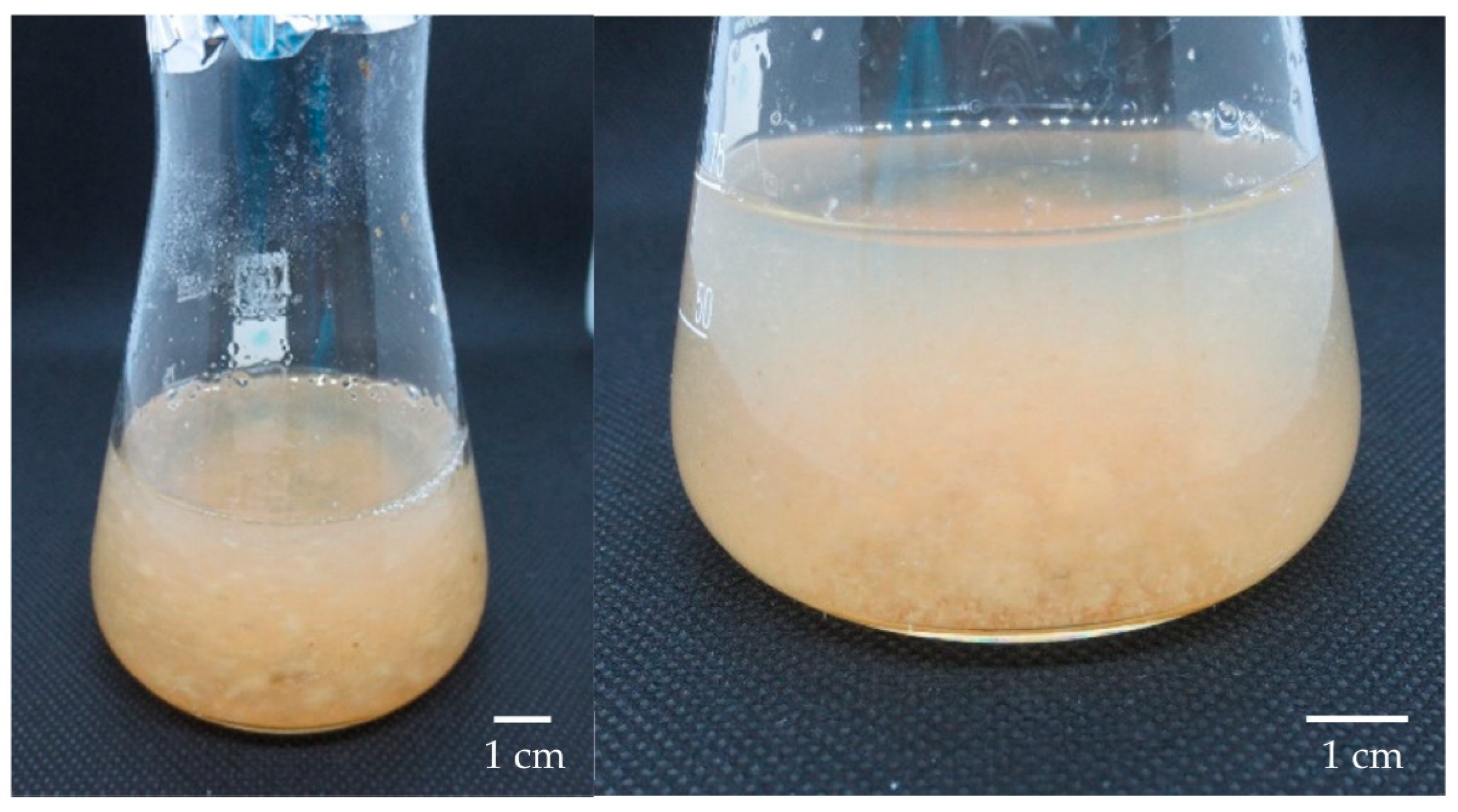 Horticulturae 08 00394 g006