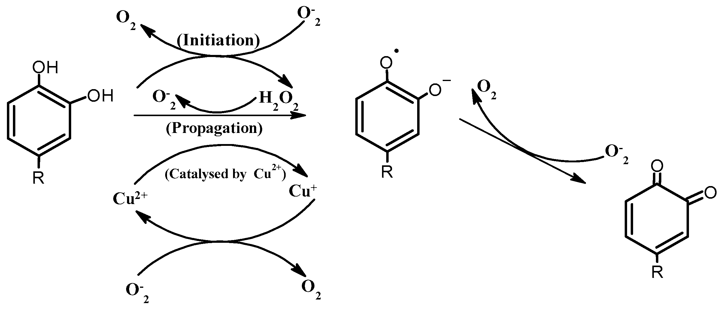 Horticulturae 08 00401 g002 Horticulturae 08 00401 g002