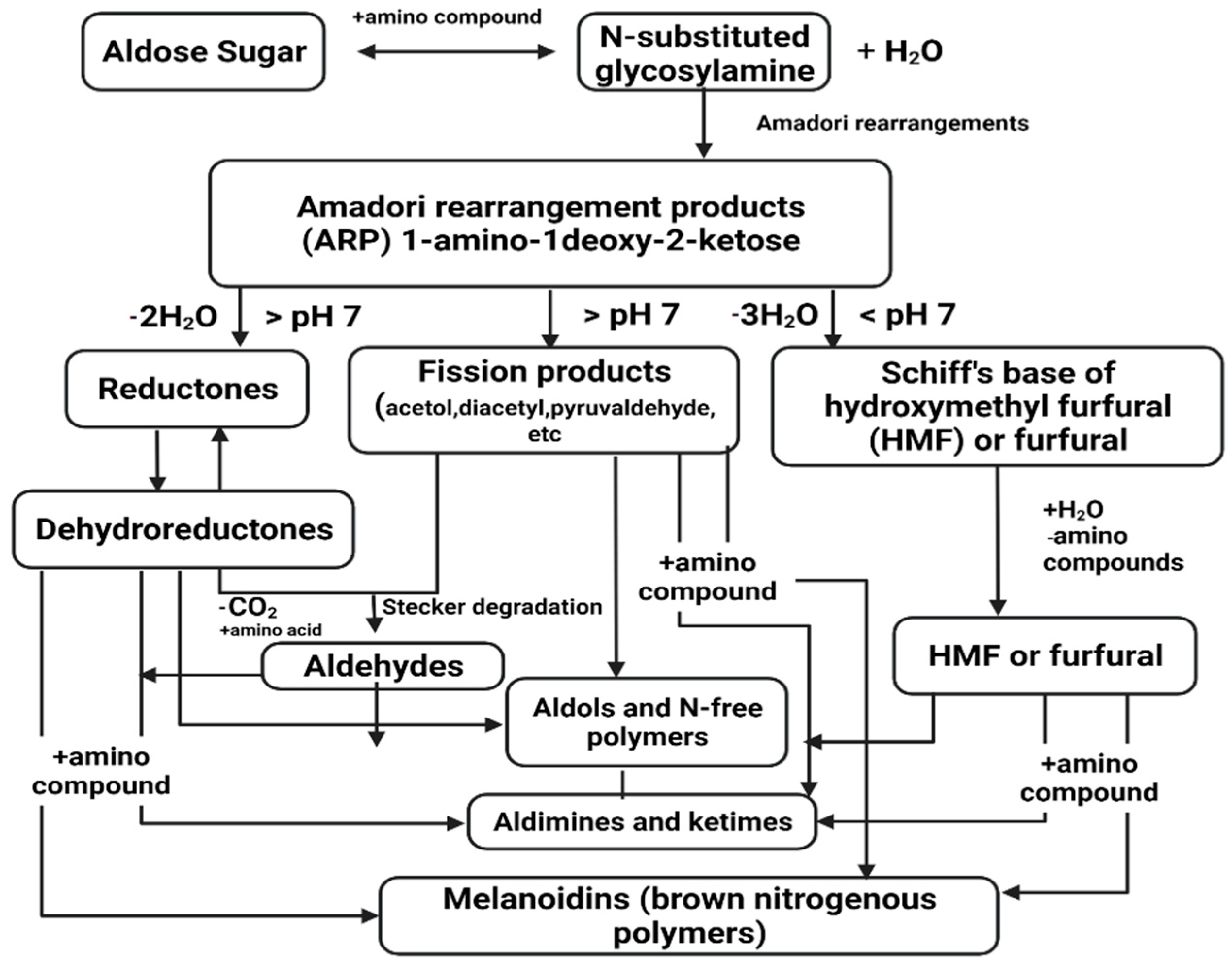 Horticulturae 08 00401 g004 Horticulturae 08 00401 g004