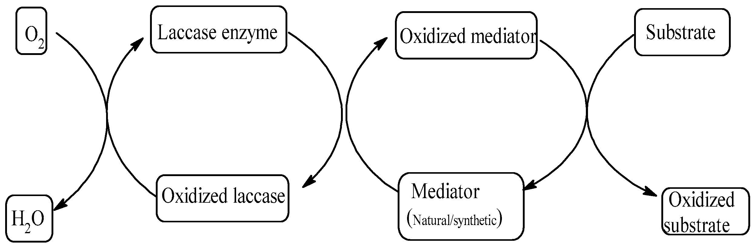 Horticulturae 08 00401 g006 Horticulturae 08 00401 g006