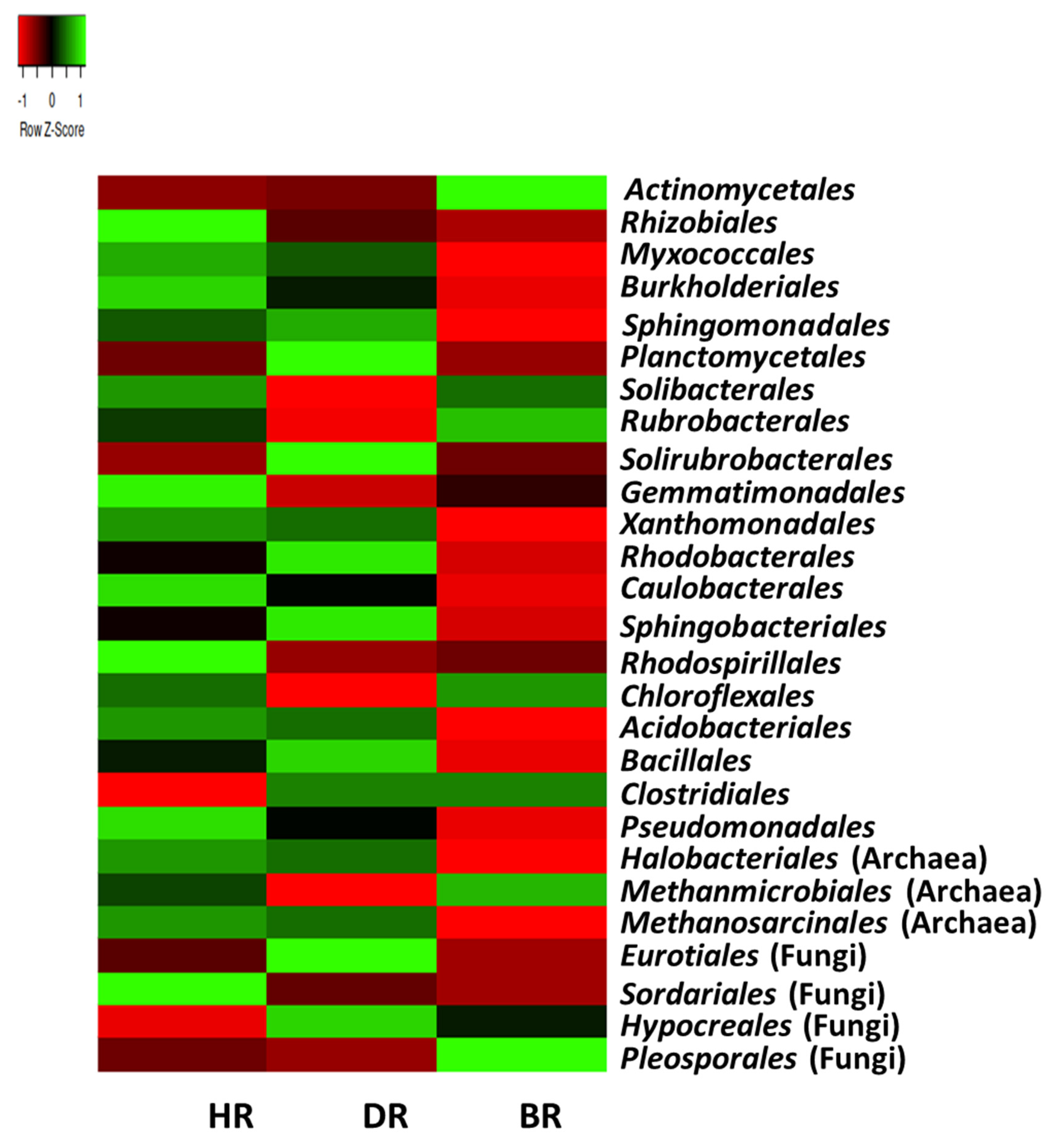 Horticulturae 08 00404 g004 550