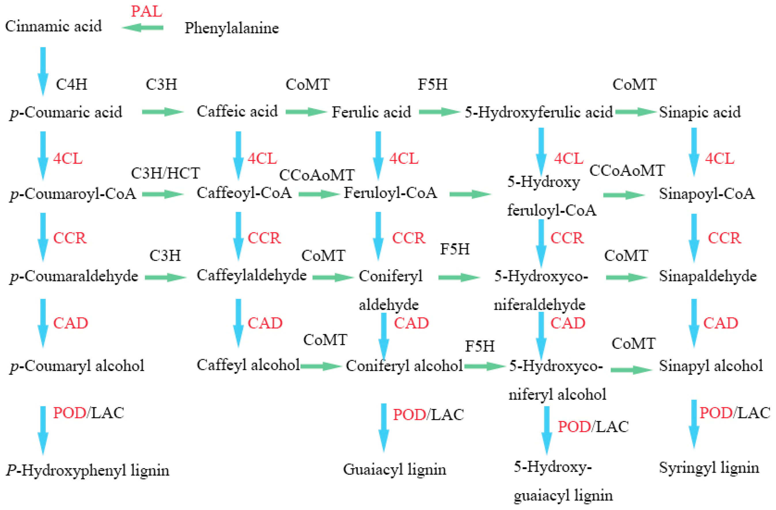Horticulturae 08 00408 g001