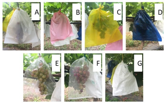 Fruit and Vegetable Packaging Net ( Net Bag For 500gm- 1kg )