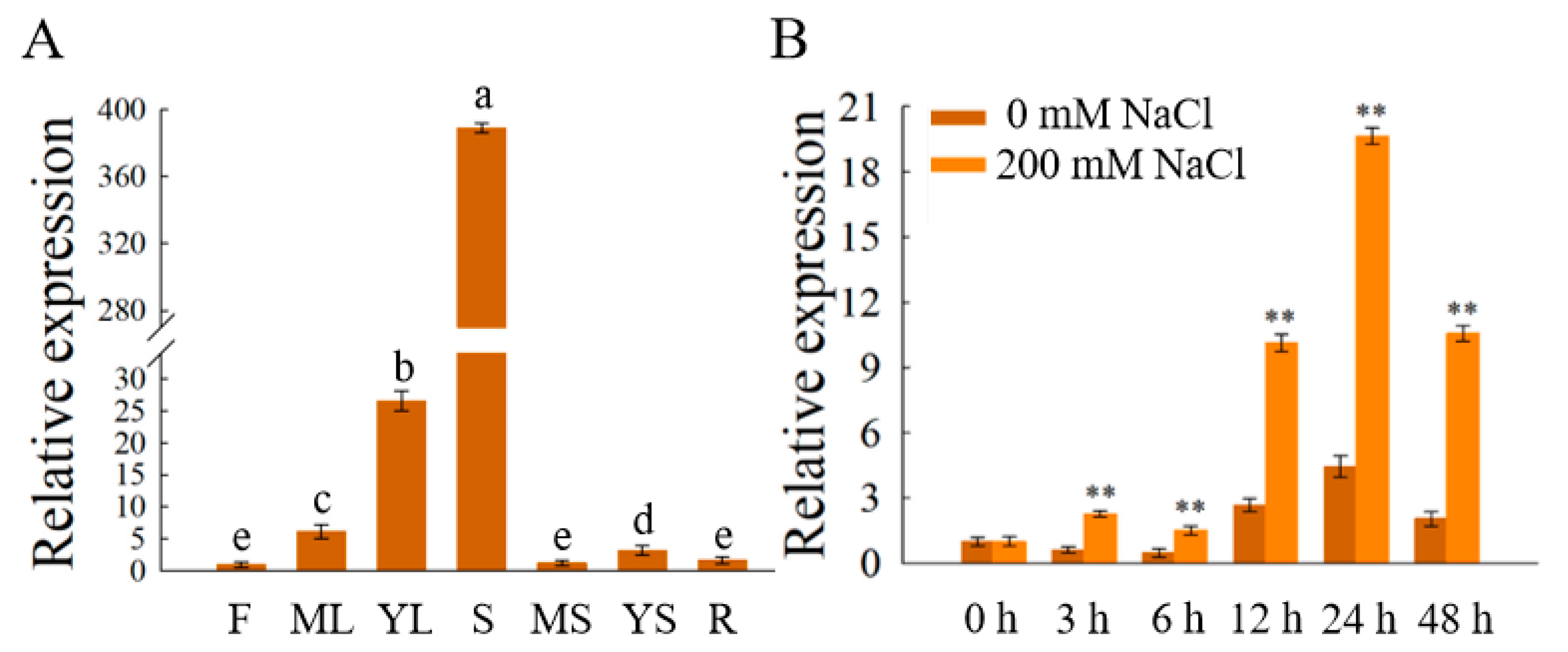 Horticulturae 08 00412 g004