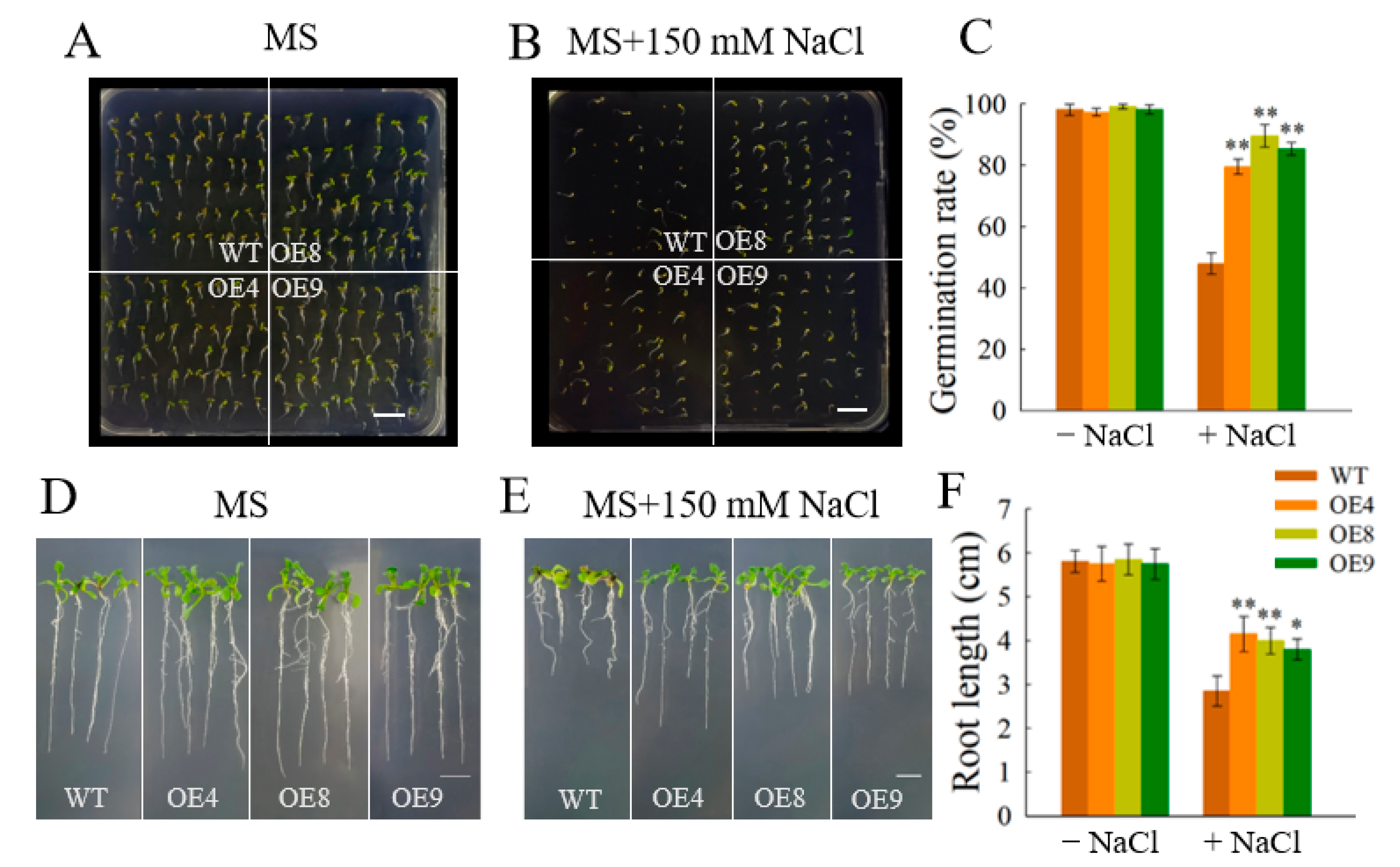 Horticulturae 08 00412 g006