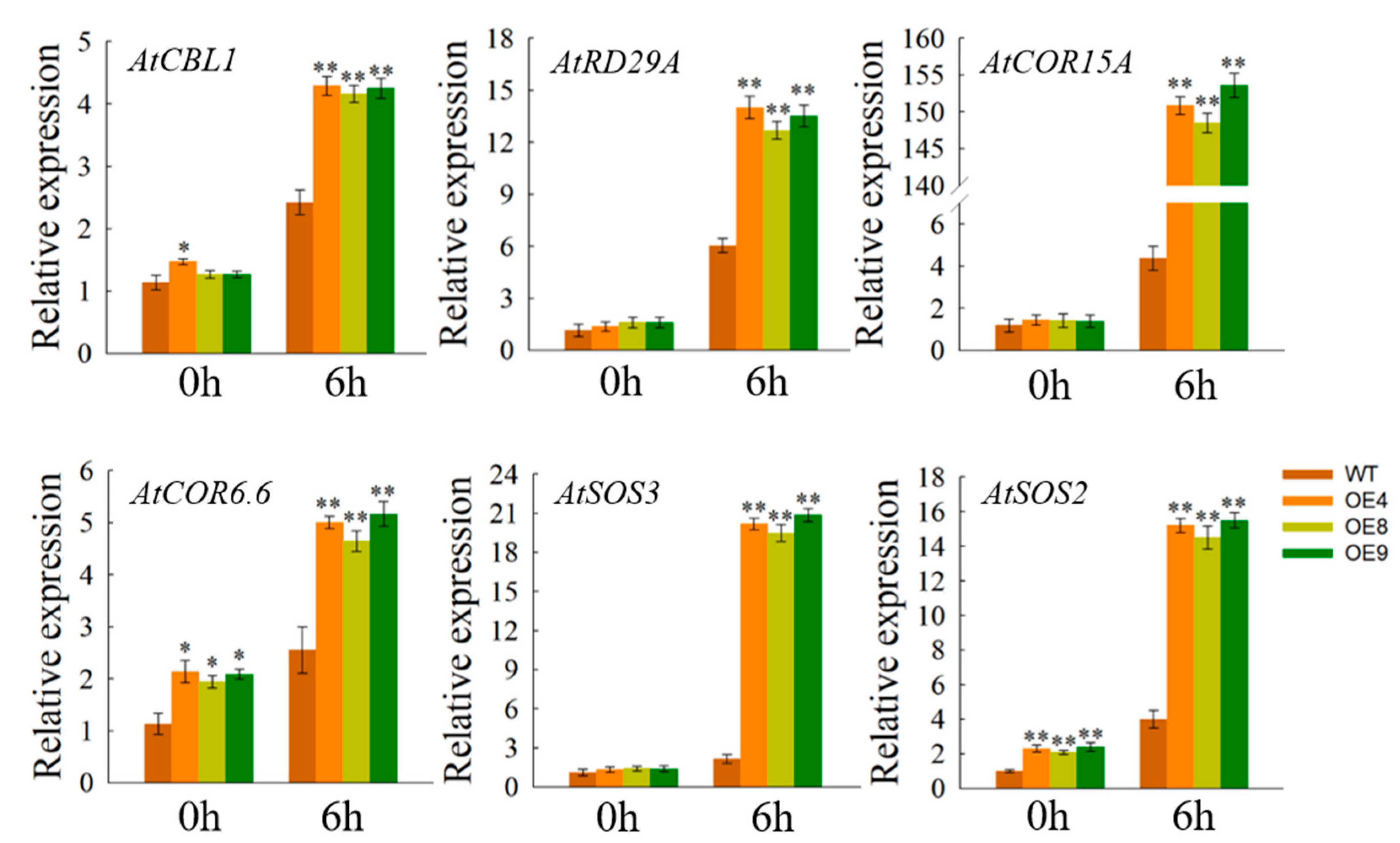 Horticulturae 08 00412 g008