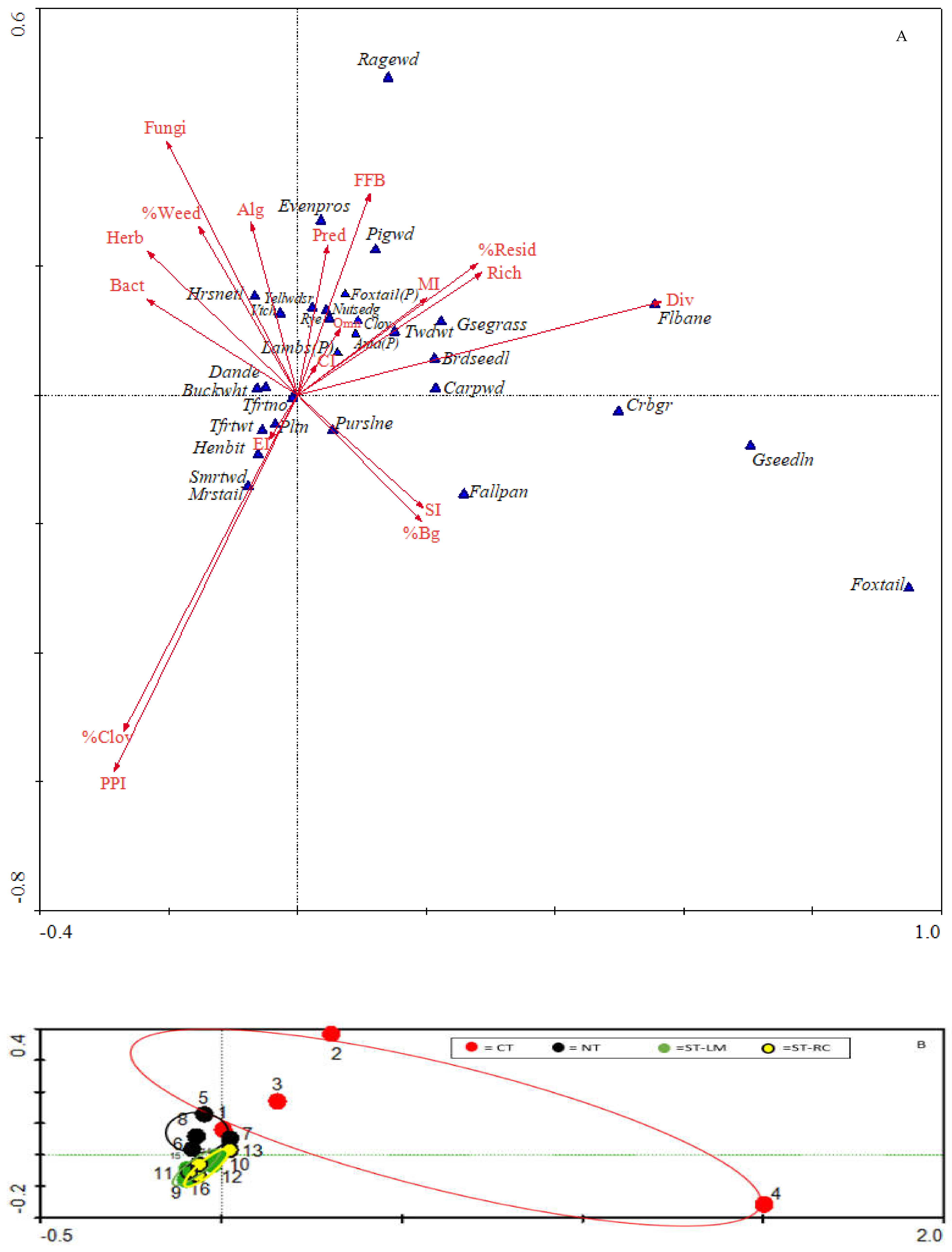 Horticulturae 08 00425 g001